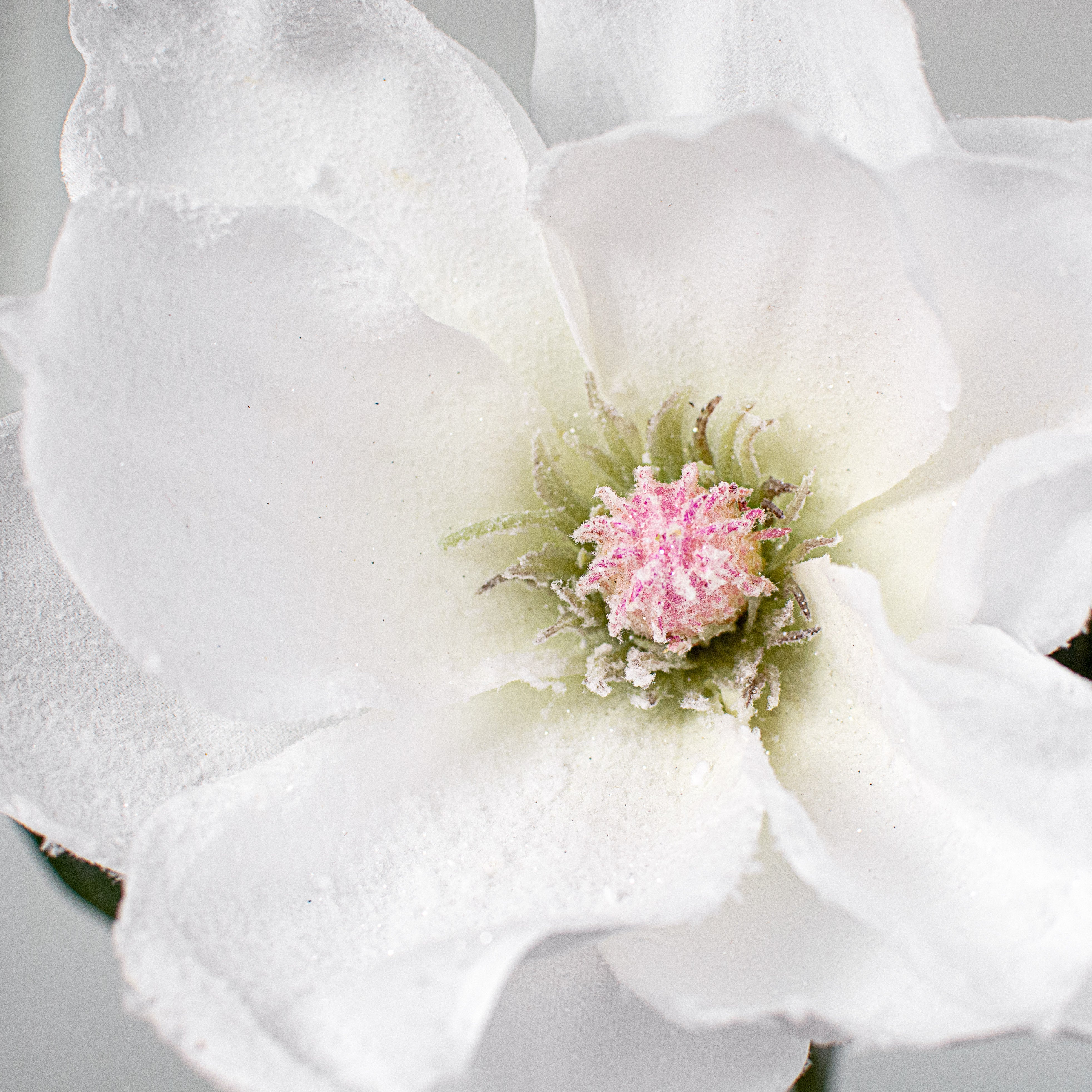29" Snowy Magnolia Flower Stem Lifestyle Photo