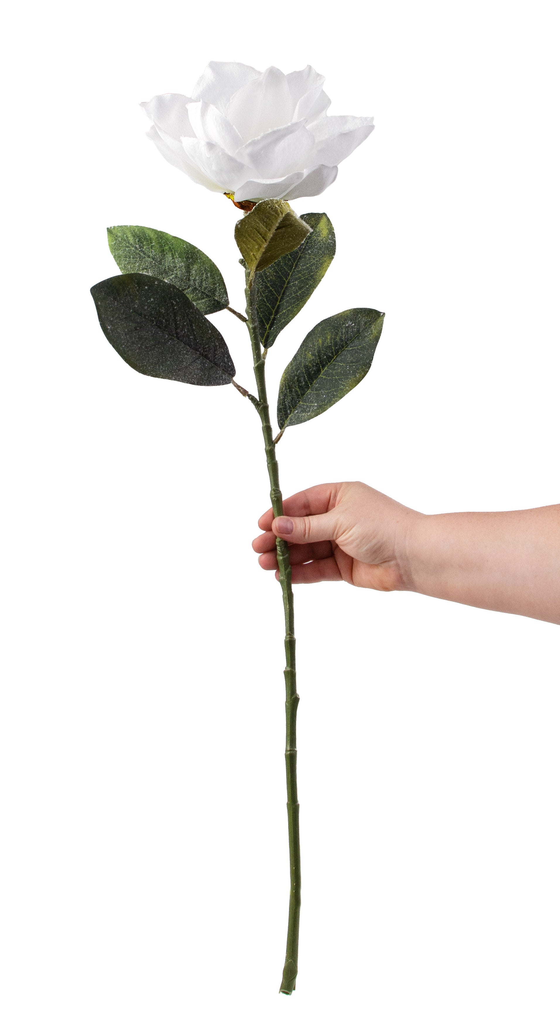 29" Snowy Magnolia Flower Stem detail photo 3
