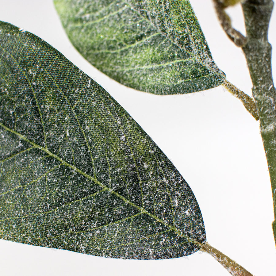 29" Snowy Magnolia Flower Stem detail photo 4