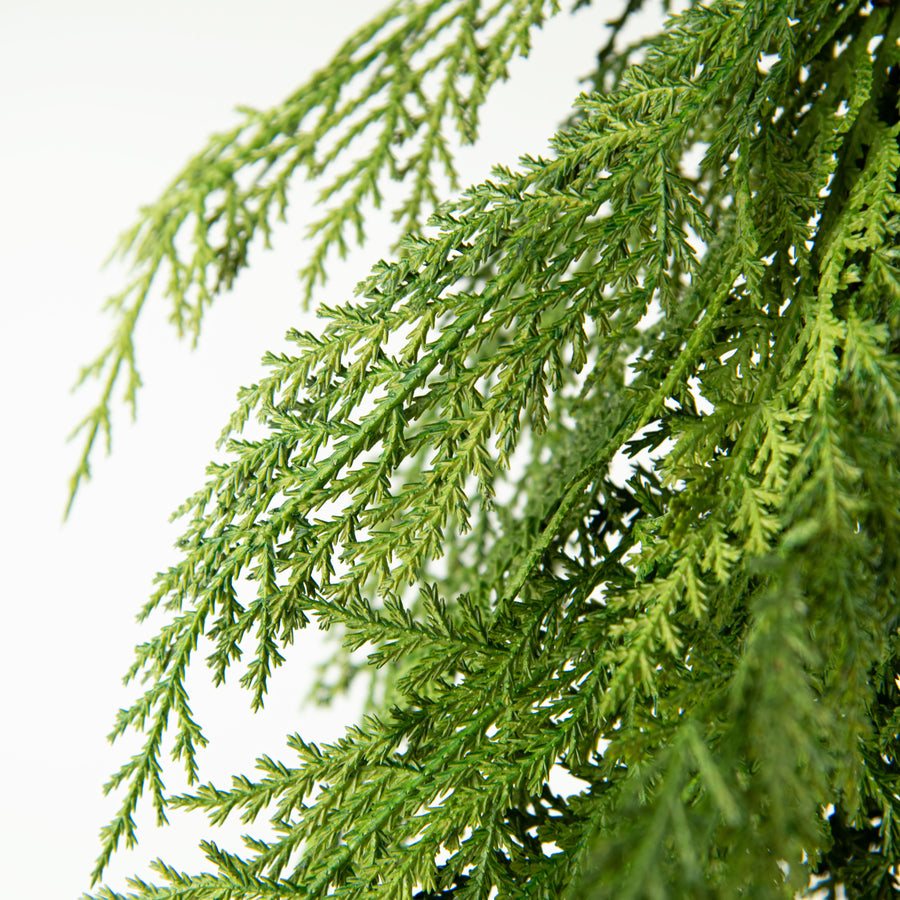 32" Soft Cedar Teardrop detail photo 3