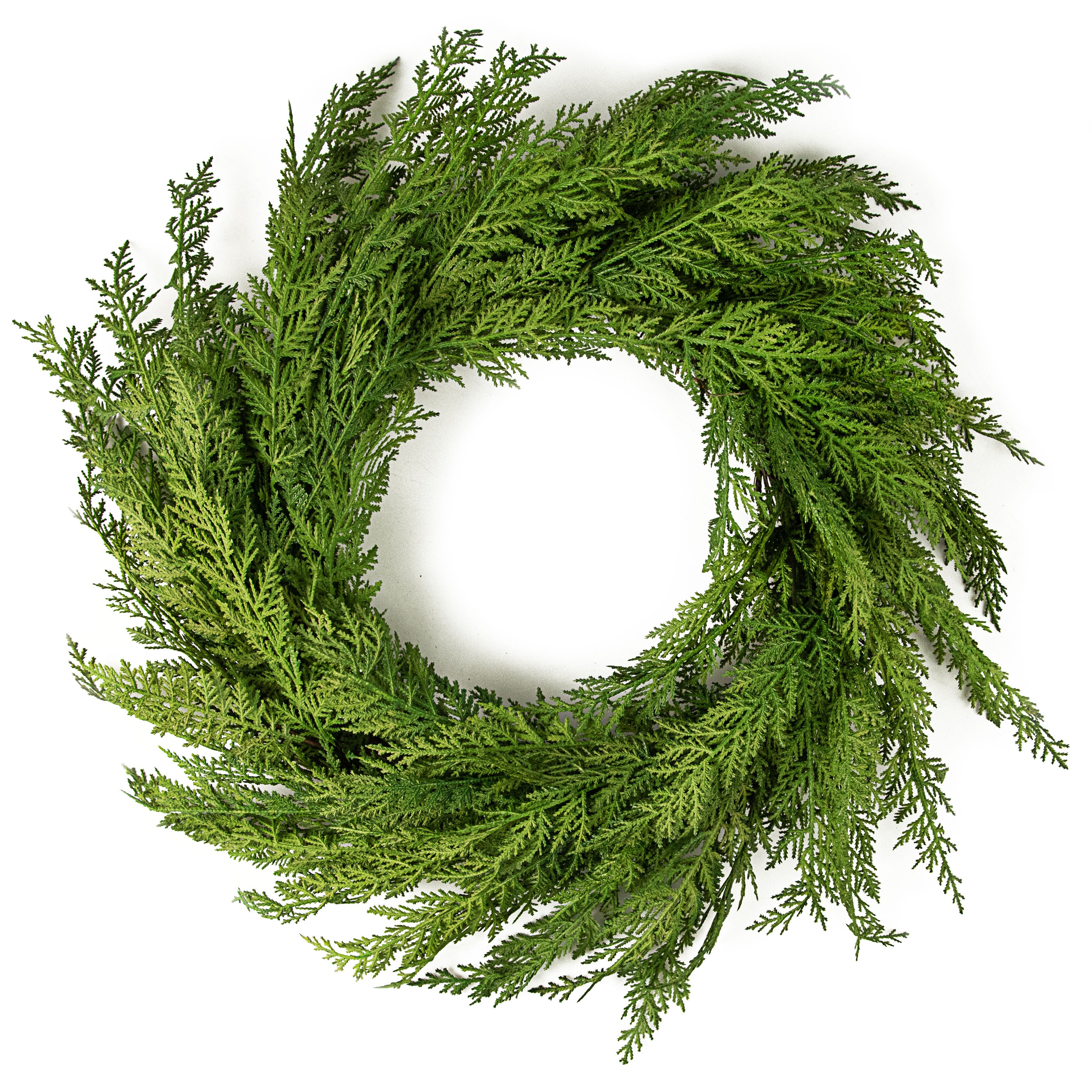 26" Soft Cedar Wreath Item Number: 272734