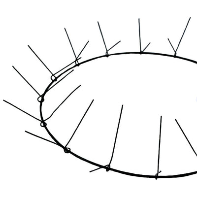 Soft Clamp Wire Wreath Form: 16" Lifestyle Photo