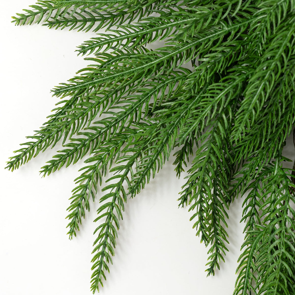 5' Soft Touch Norfolk Pine Arch Swag Garland: Fresh Green detail photo 3