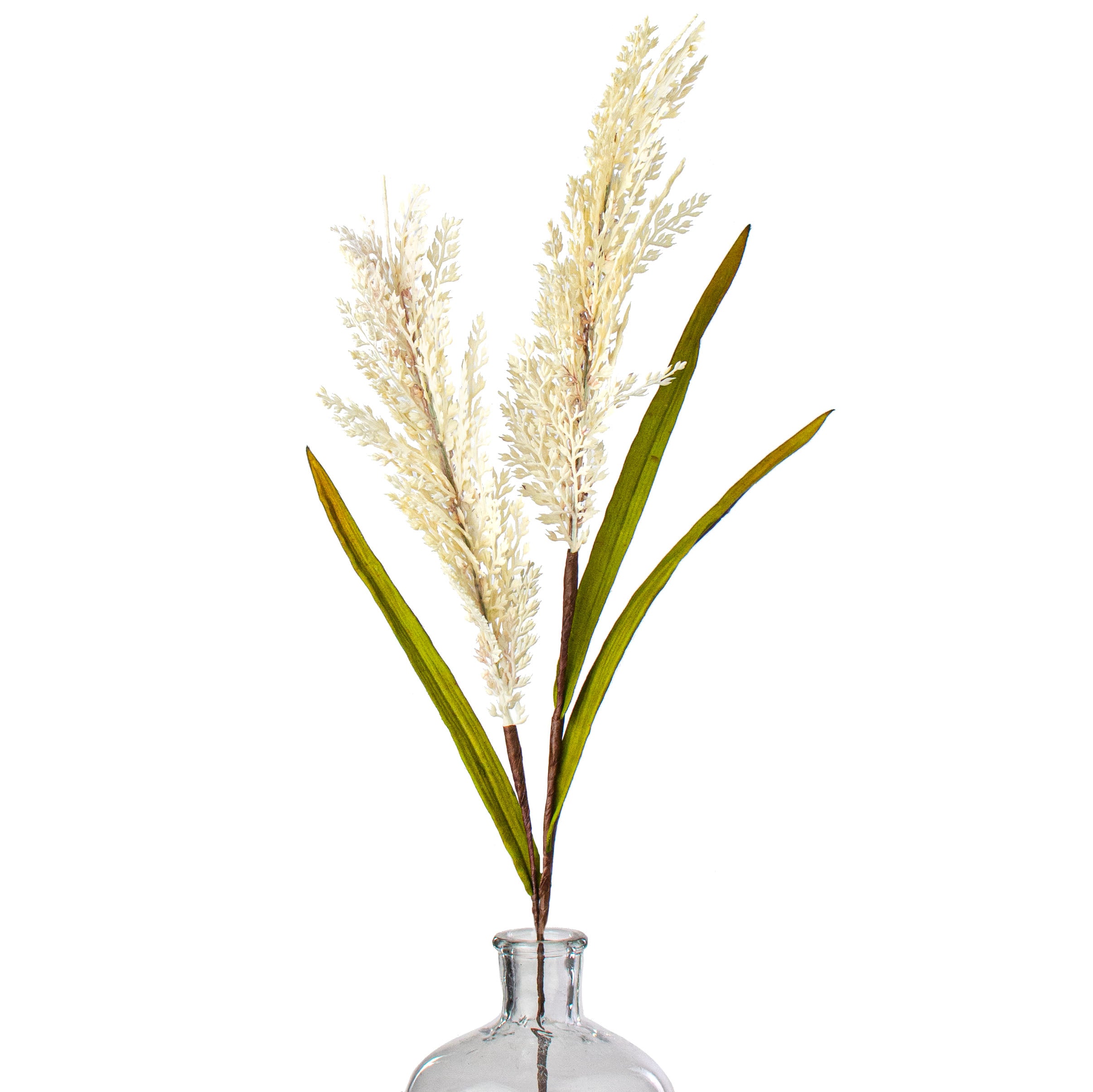 30" Sorghum Harvest Spray: Cream Item Number: 135204