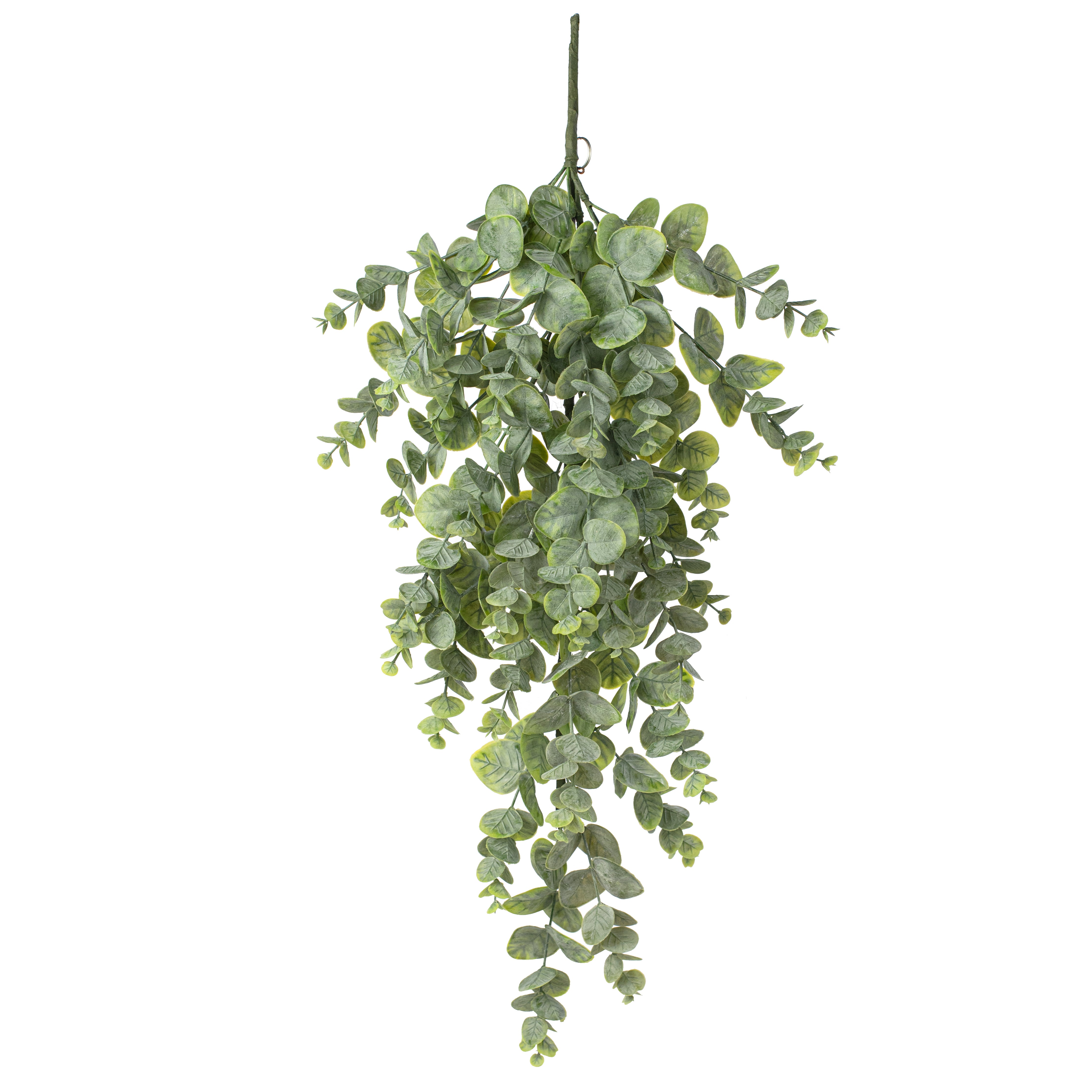 32" Spiral Eucalyptus Teardrop Item Number: FG637831