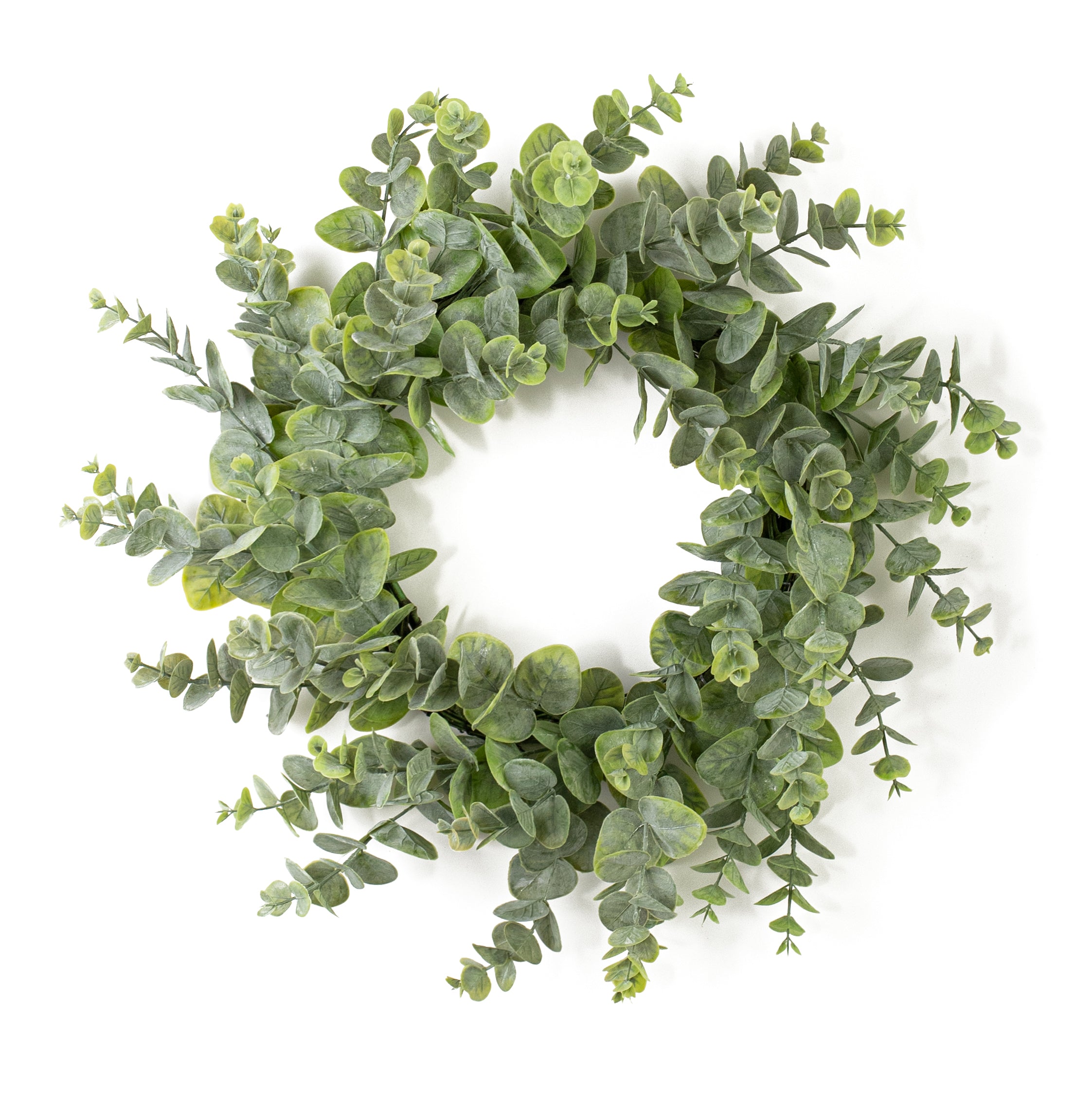 24" Spiral Silver Dollar Eucalyptus Wreath Item Number: FG637631