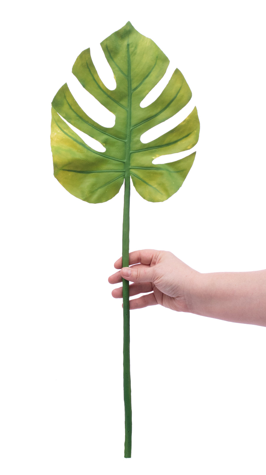 25" Split Leaf Philodendron Stem Lifestyle Photo