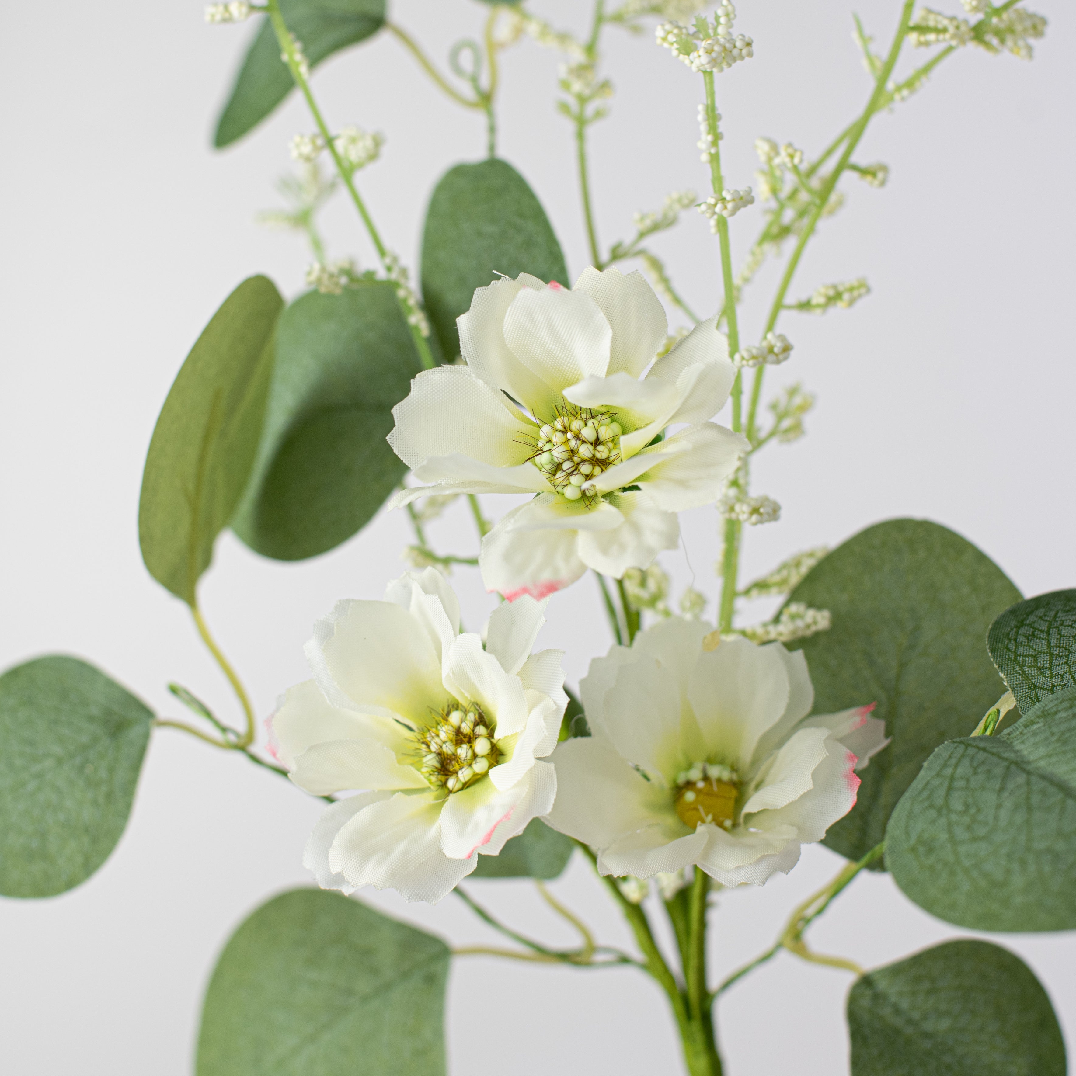 12" Spring Blossoms Silver Dollar Eucalyptus Pick: Cream Lifestyle Photo