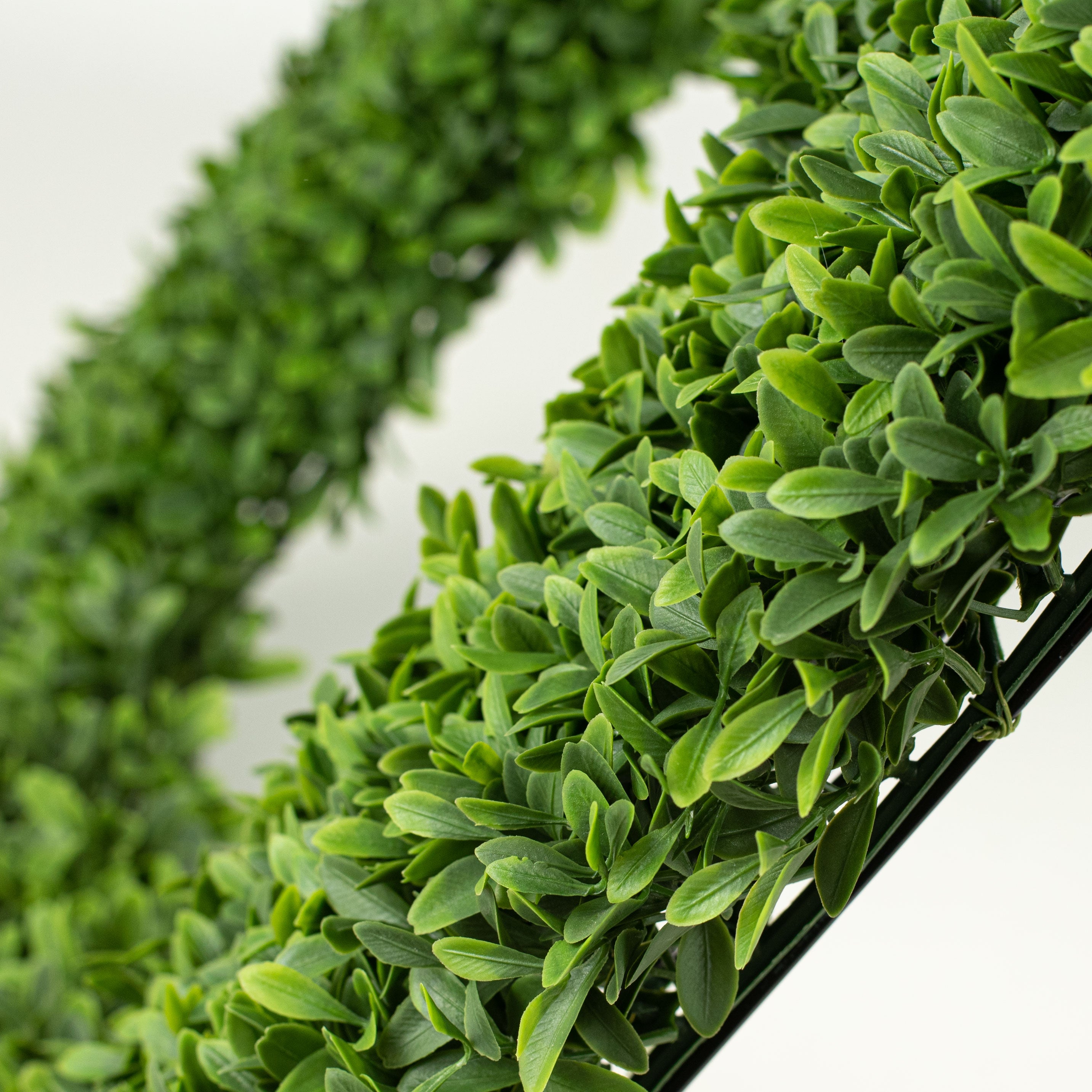 21" Square Boxwood Wreath detail photo 3