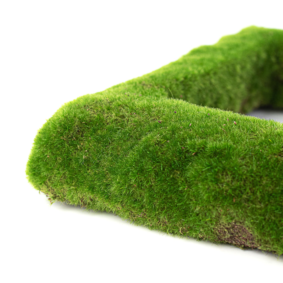 12" Square Cushion Moss Wreath detail photo 3