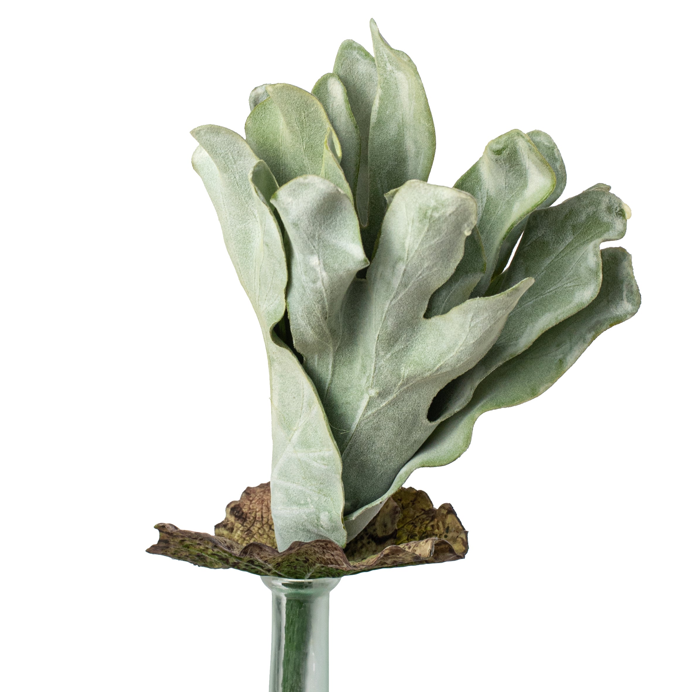 14" Staghorn Fern Hanging Pick Item Number: 168819