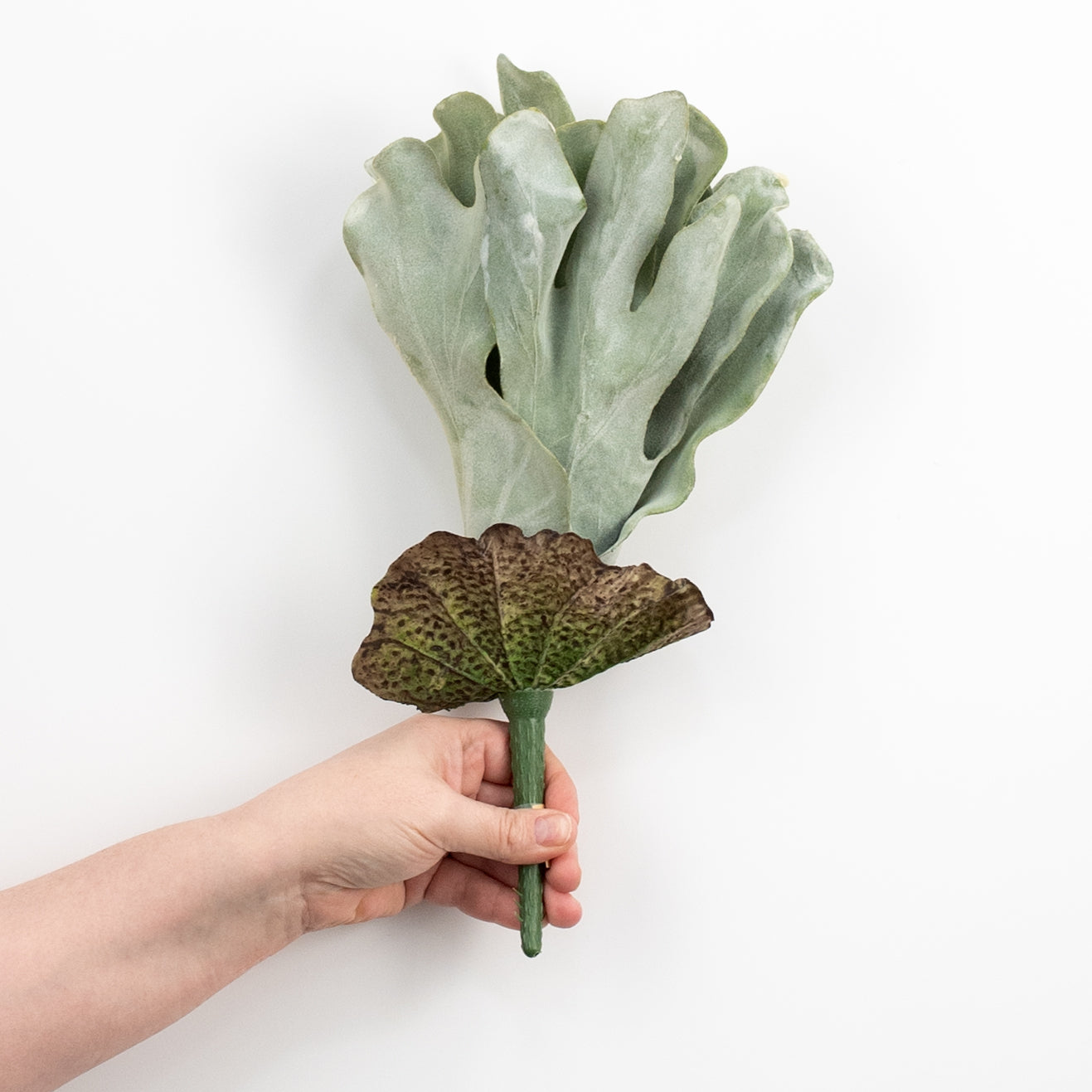14" Staghorn Fern Hanging Pick detail photo 3