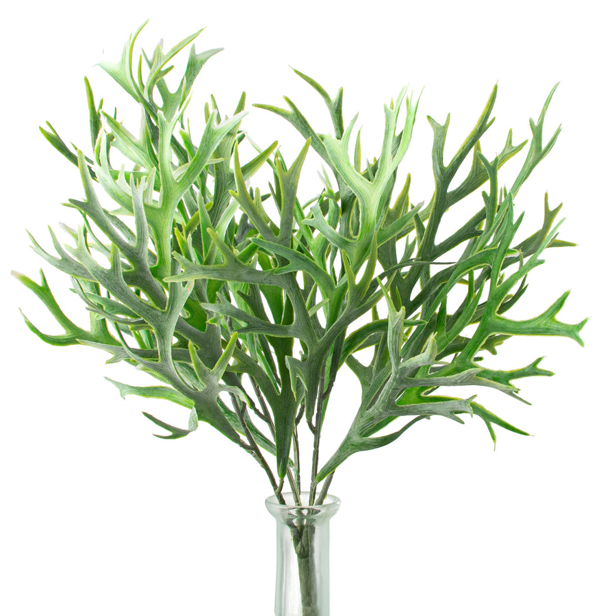 14" Staghorn Fern Leaf Bush Item Number: FG641772