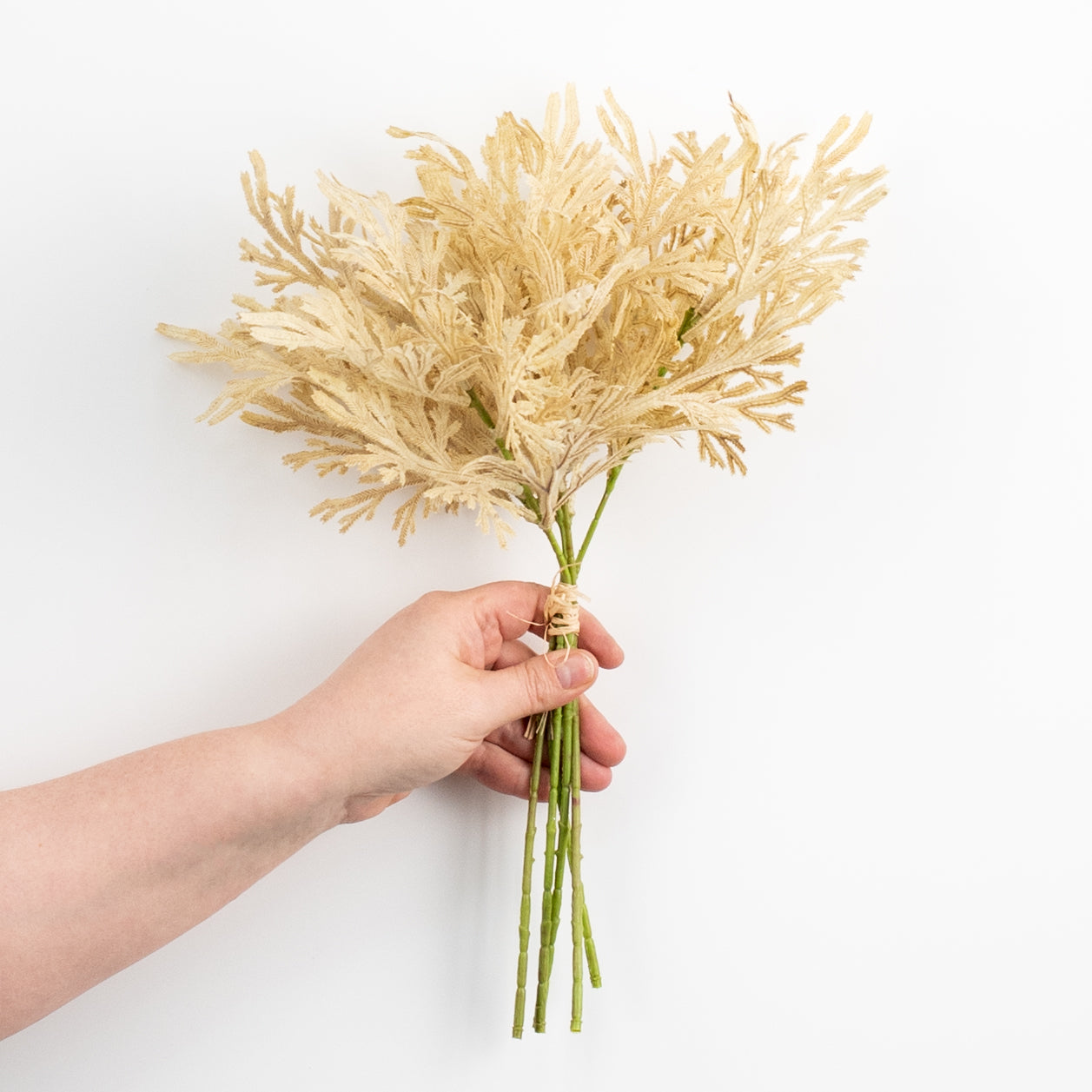 15" Staghorn Leaf Bundle: Dark Beige detail photo 3