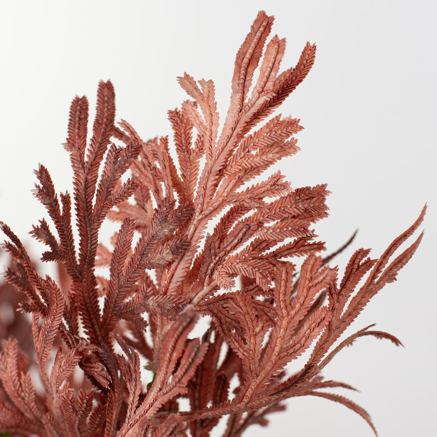 15" Staghorn Leaf Bundle: Maroon Burgundy Ombré Lifestyle Photo