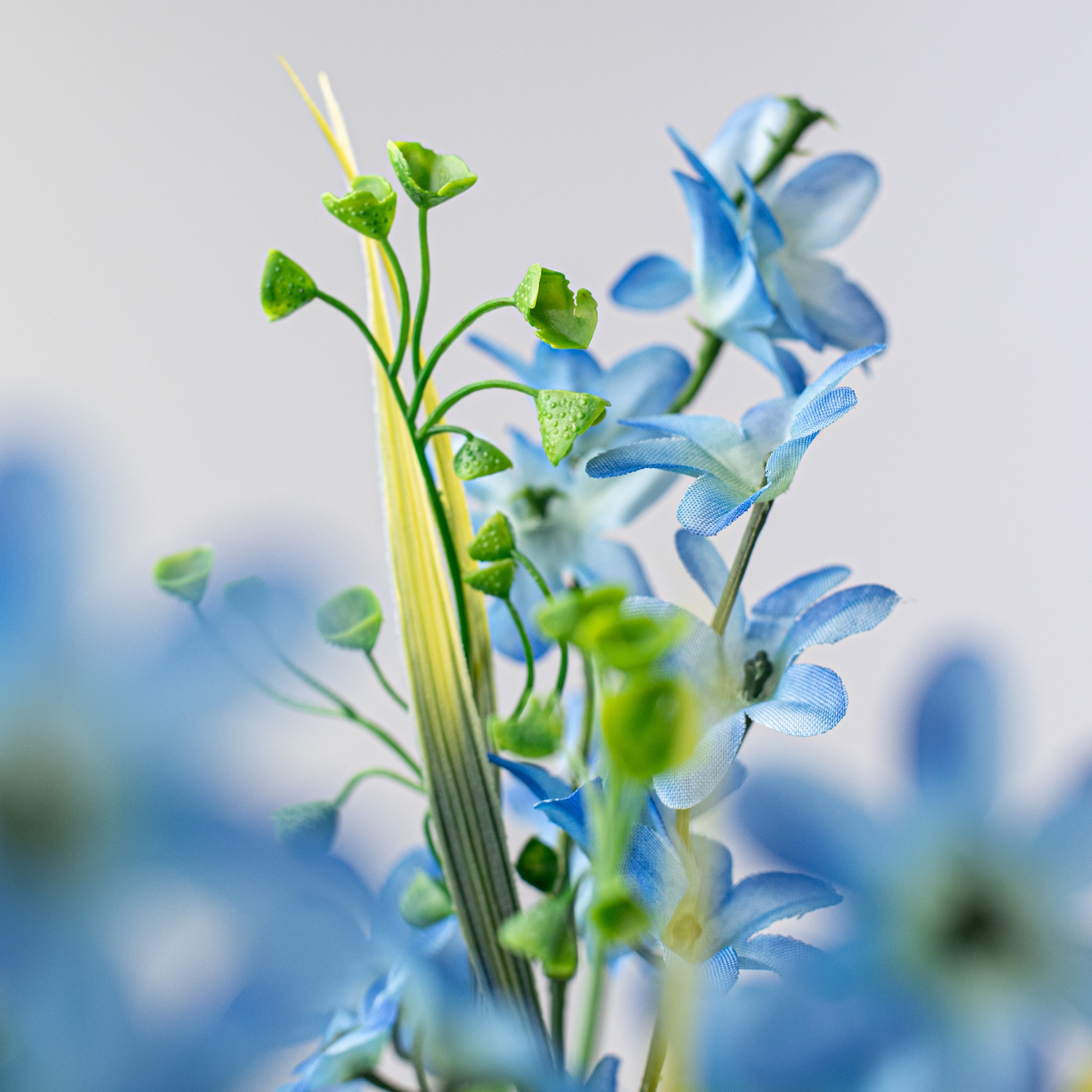 19" Star Blossom Bush: Blue detail photo 4