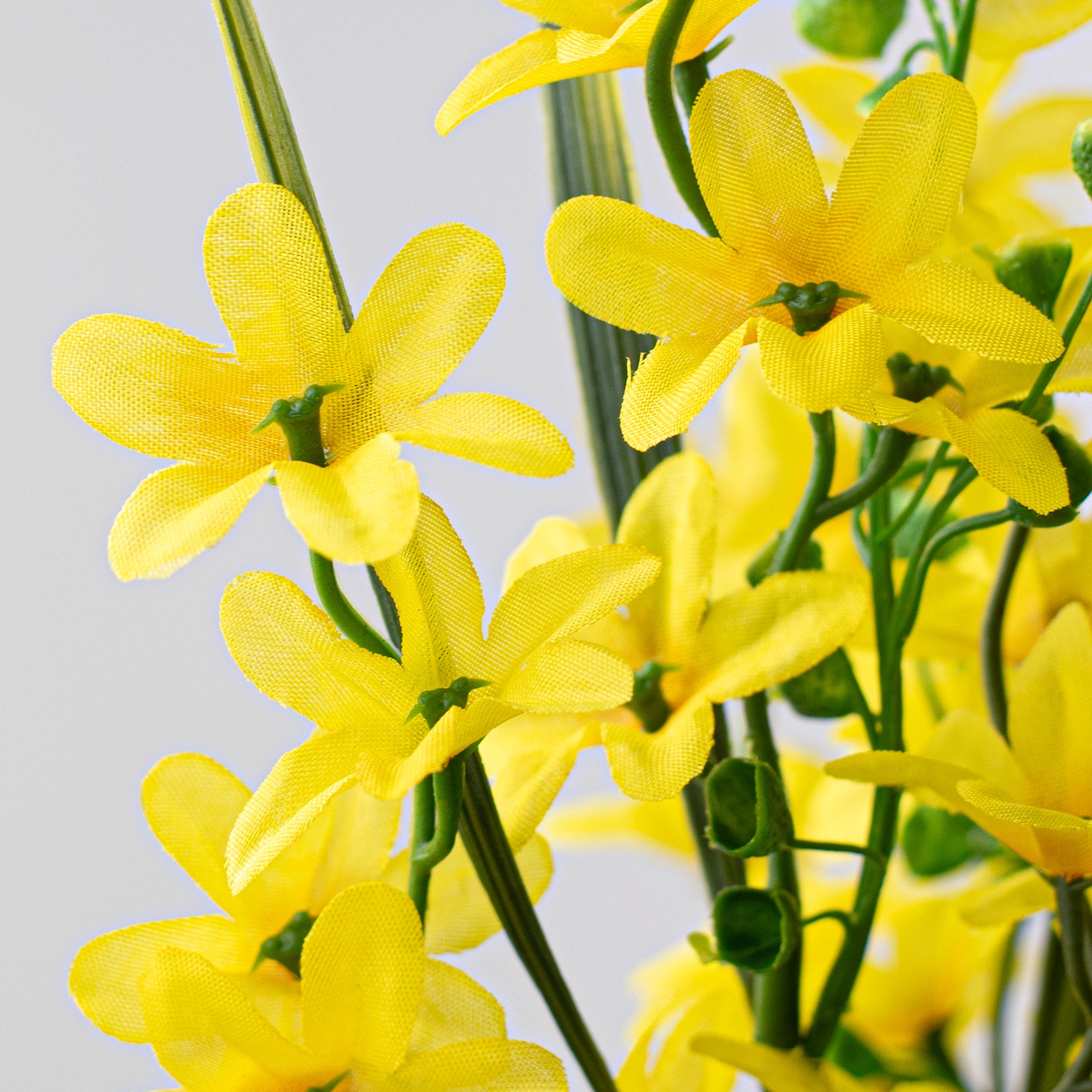 19" Star Blossom Bush: Yellow Lifestyle Photo