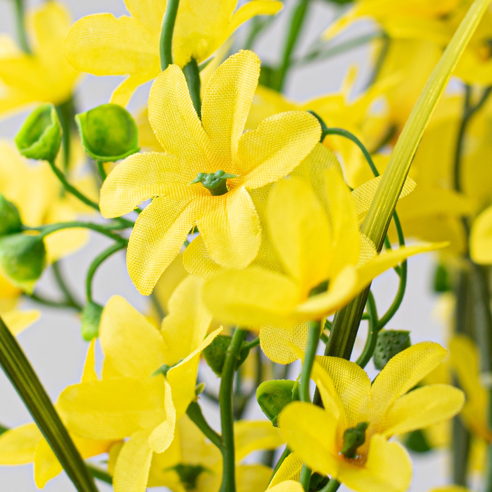 19" Star Blossom Bush: Yellow detail photo 4
