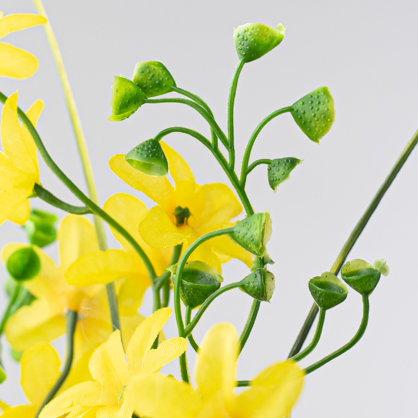 19" Star Blossom Bush: Yellow detail photo 5