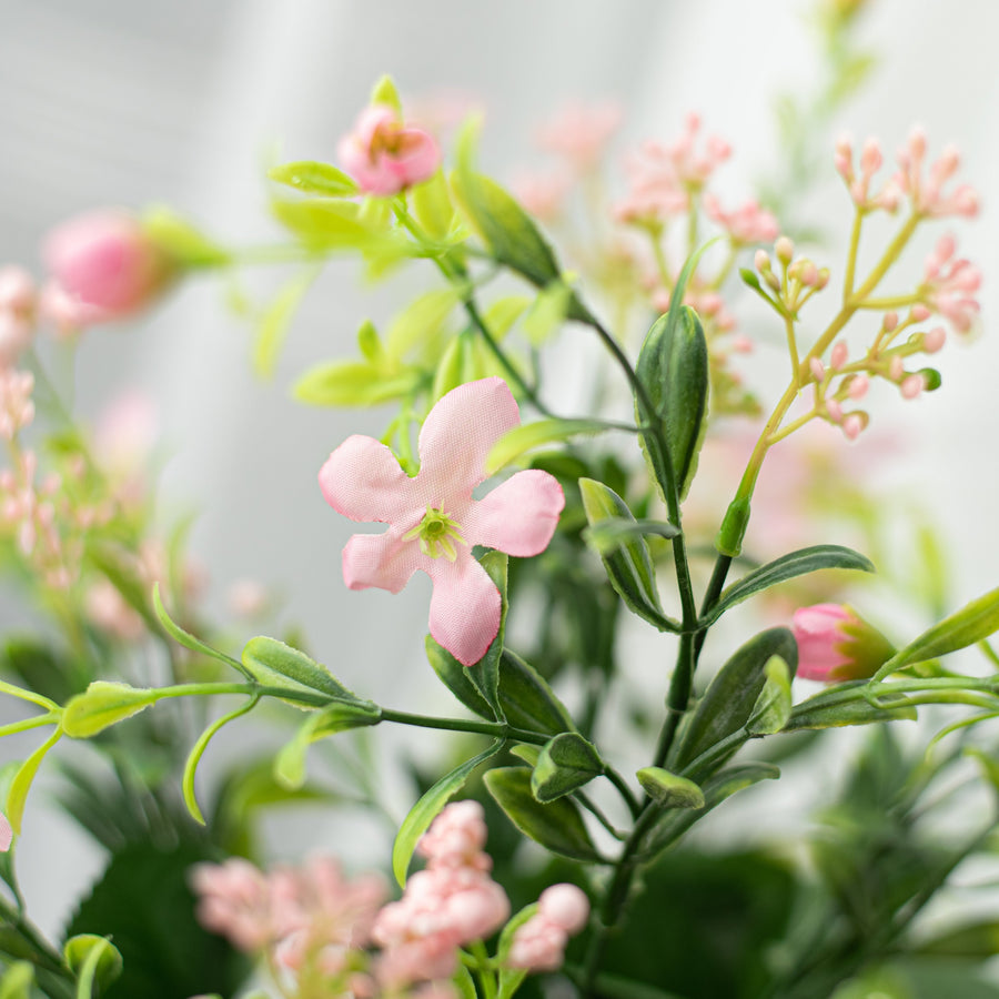 18" Star Flower Berry Bush: Pink Lifestyle Photo