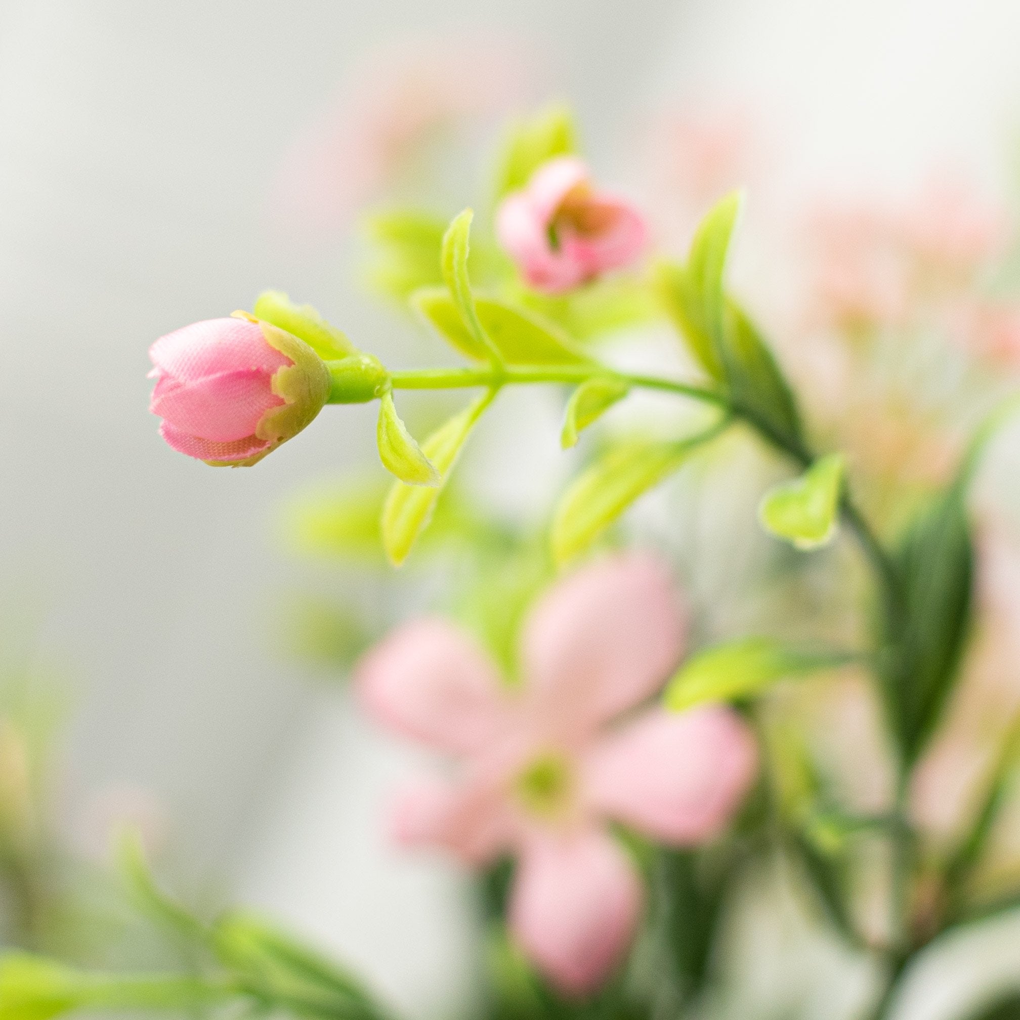 18" Star Flower Berry Bush: Pink detail photo 4