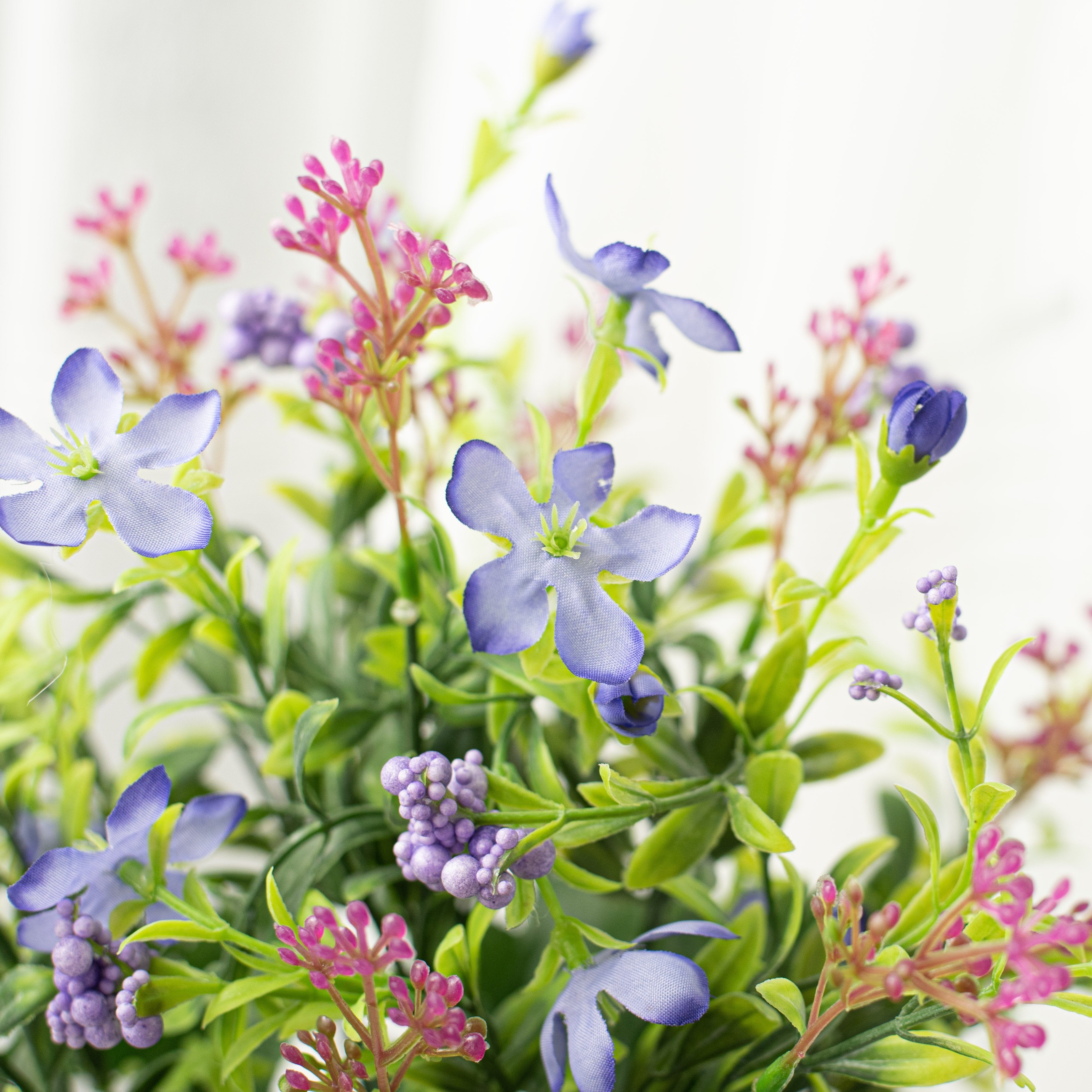 18" Star Flower Berry Bush: Purple Lifestyle Photo