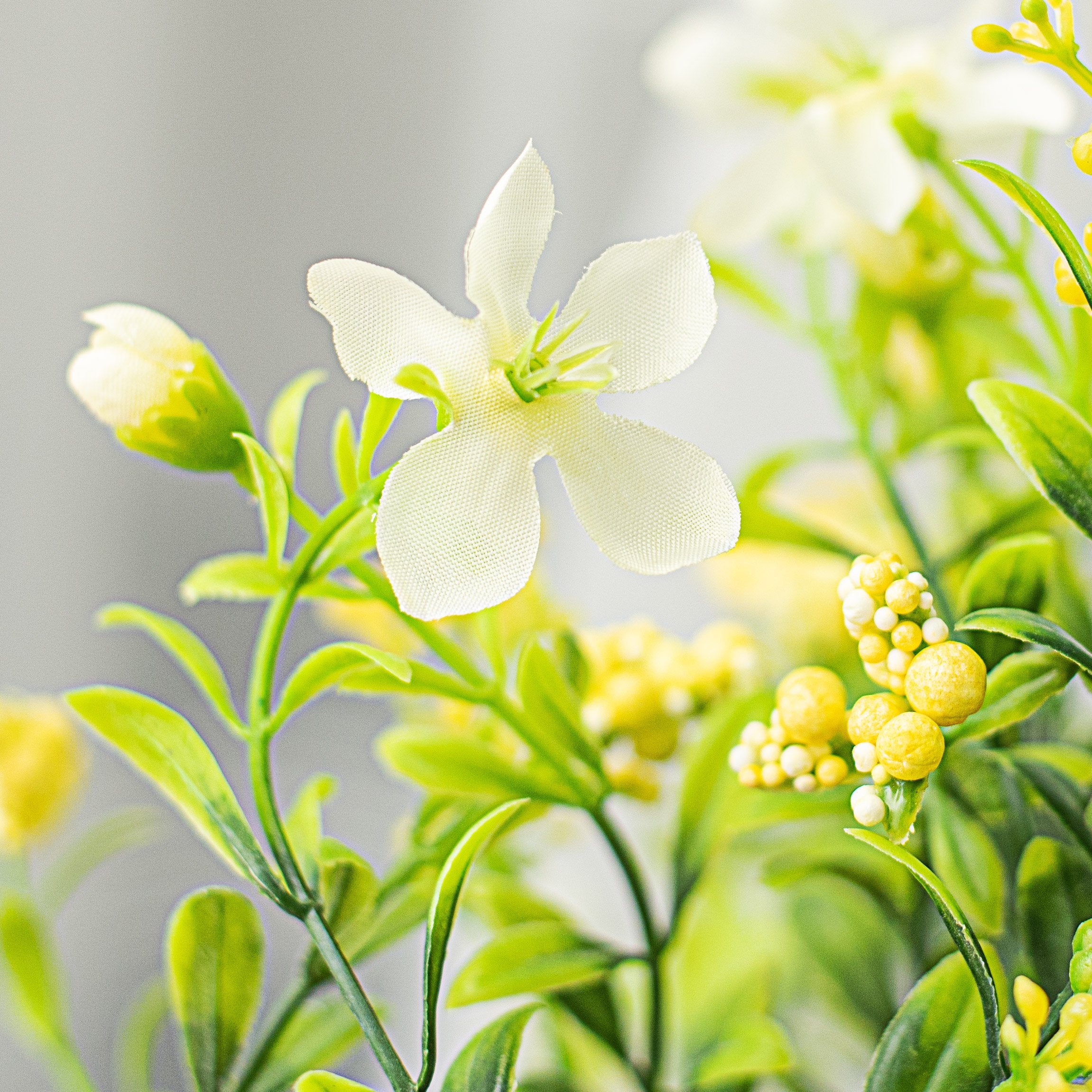 18" Star Flower Berry Bush: Yellow Lifestyle Photo