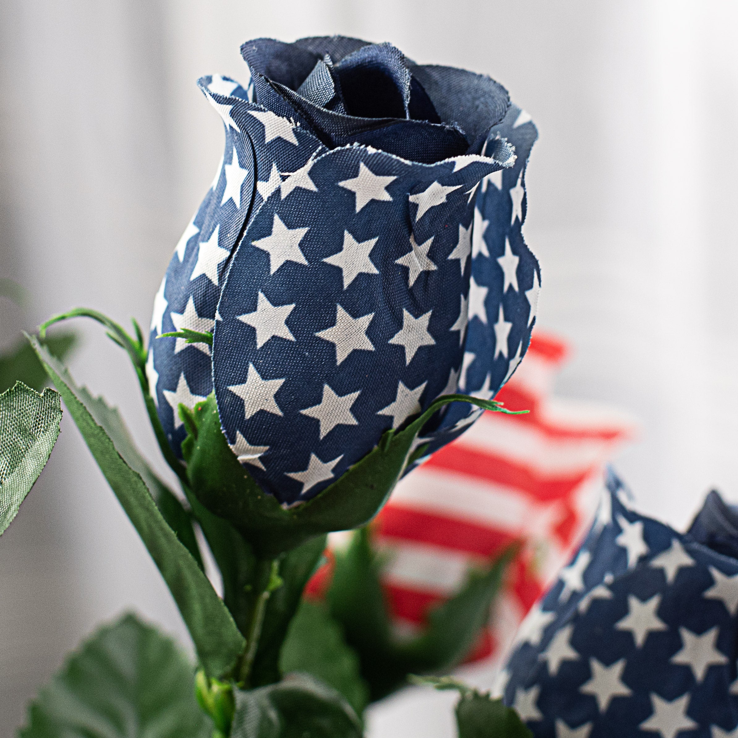 18" Stars & Stripes Rose Bud Bush: RWB (11) Lifestyle Photo