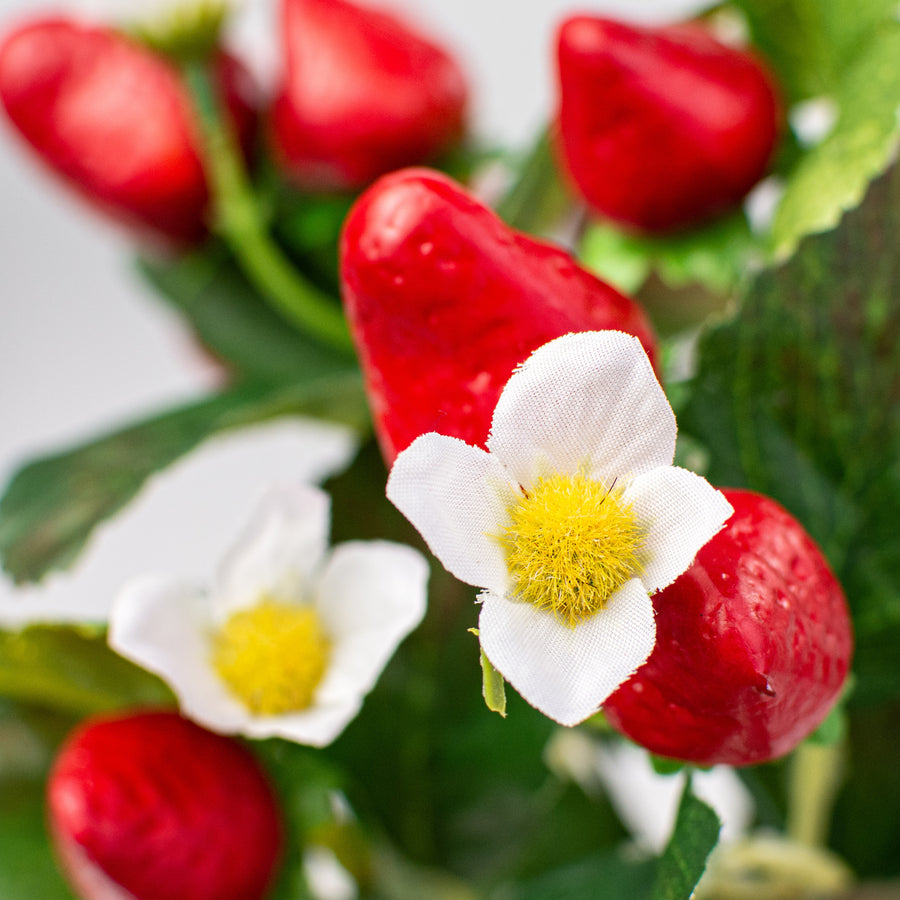 17" Strawberry Bush Lifestyle Photo