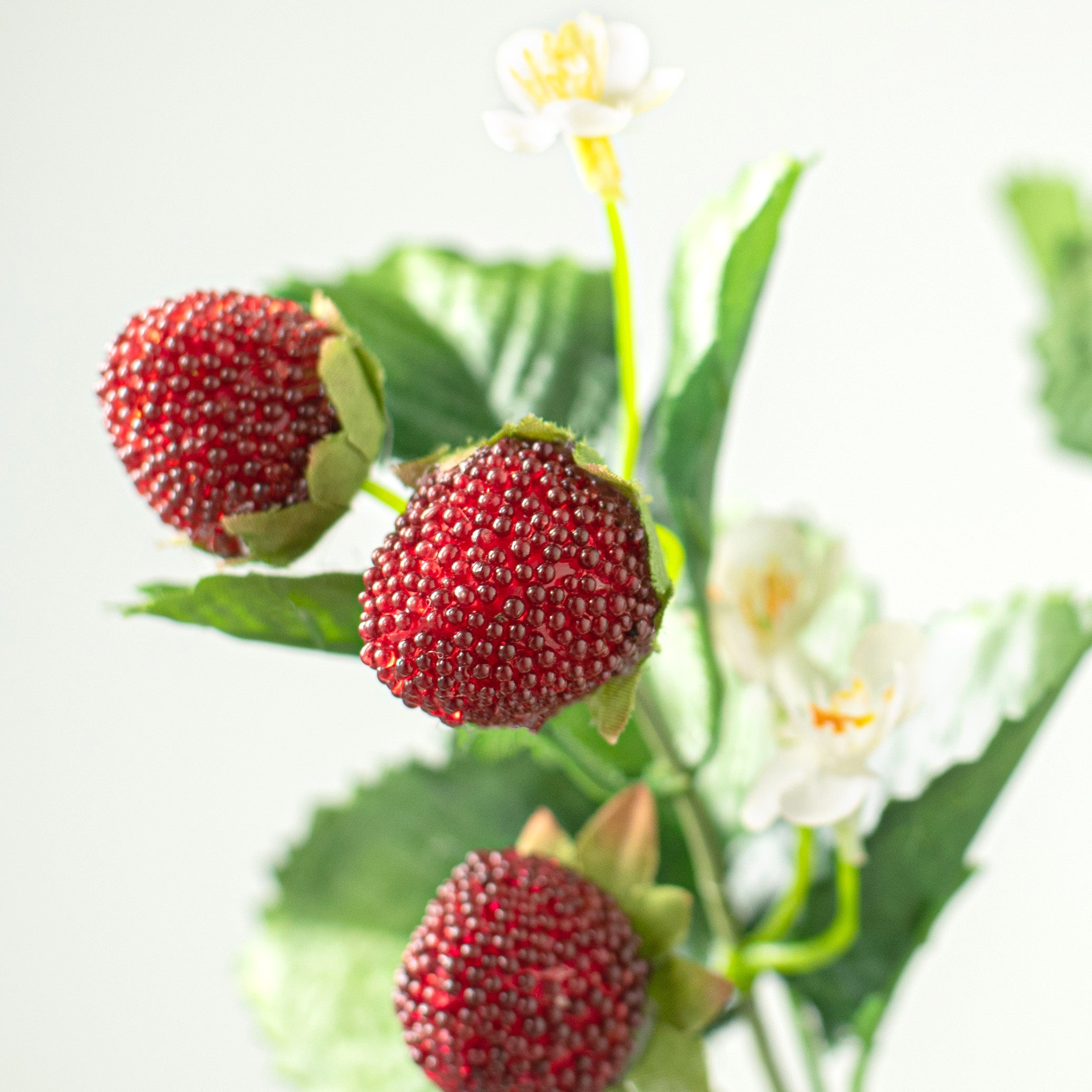 24" Strawberry Spray Lifestyle Photo