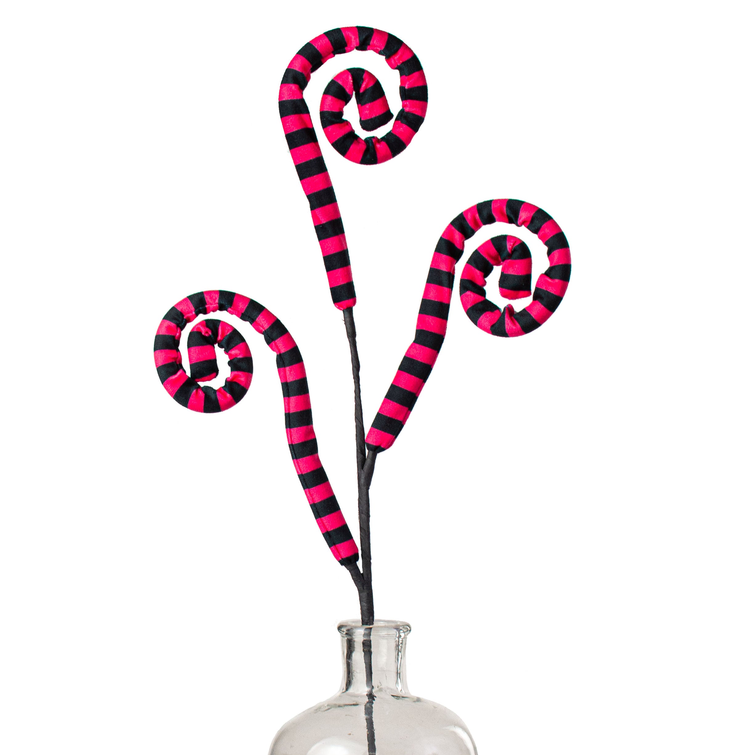 29" Stripe Spiral Curly Spray: Fuchsia & Black Item Number: 56945BTBK