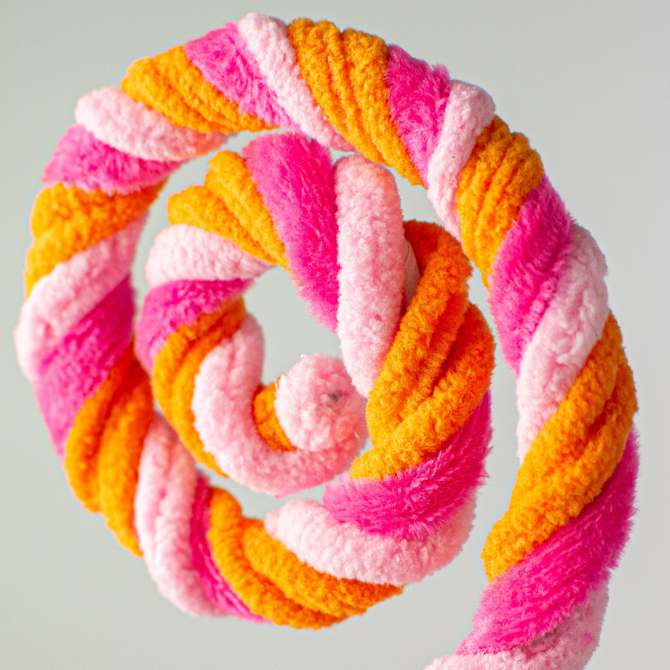 26" Stripe Spiral Curly Spray: Fuchsia, Pink, Orange Lifestyle Photo