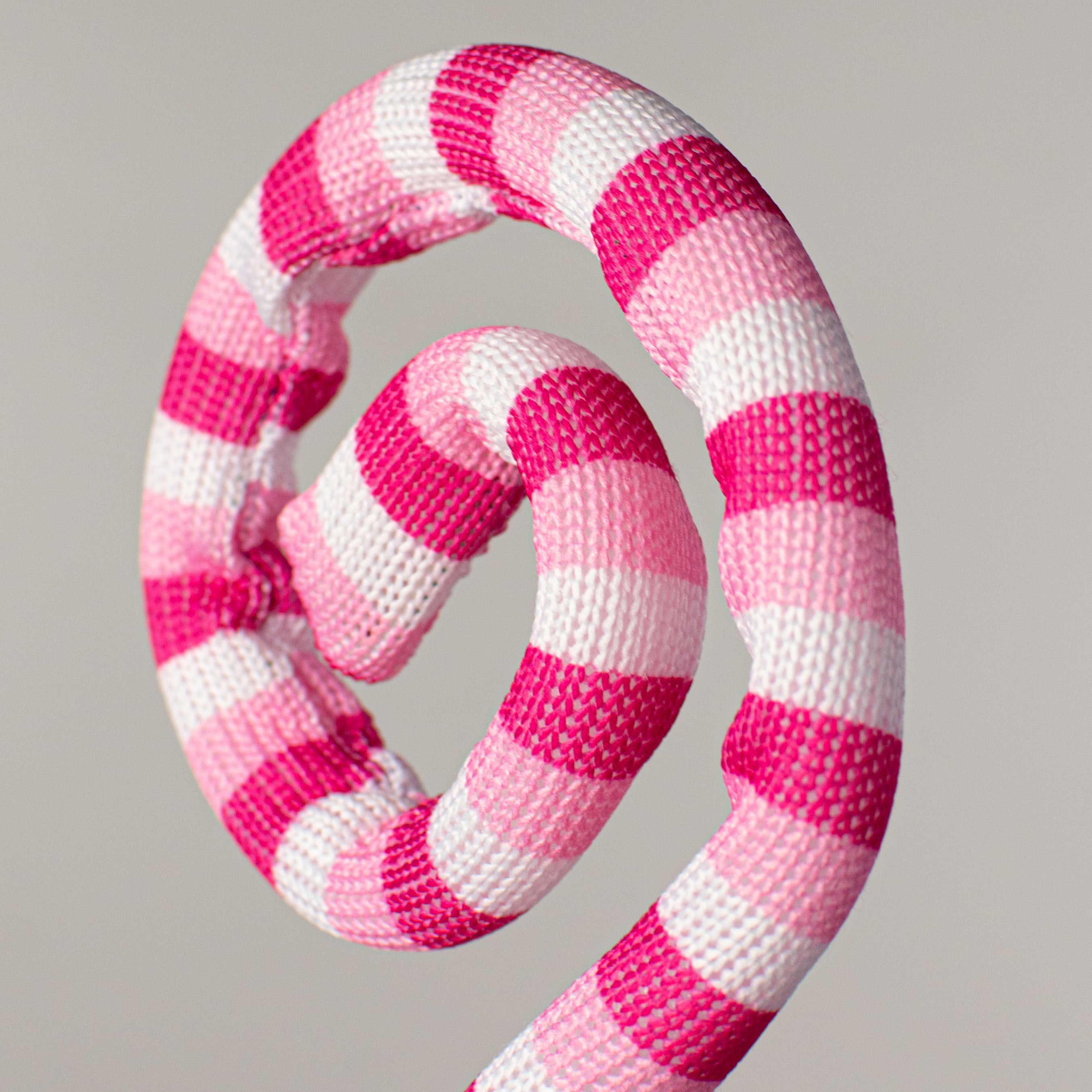 29" Stripe Spiral Curly Spray: Fuchsia, Pink, White Lifestyle Photo