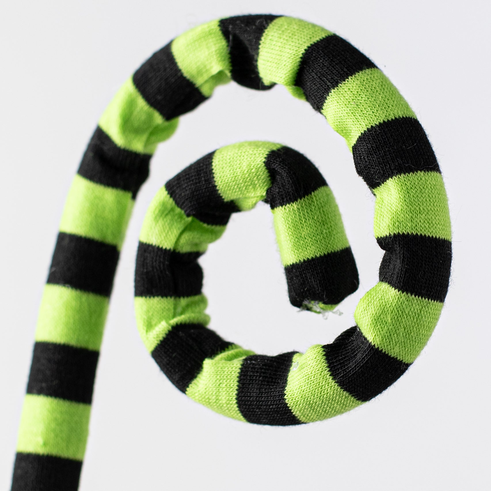 26" Striped Curly Spray: Lime Green & Black Lifestyle Photo