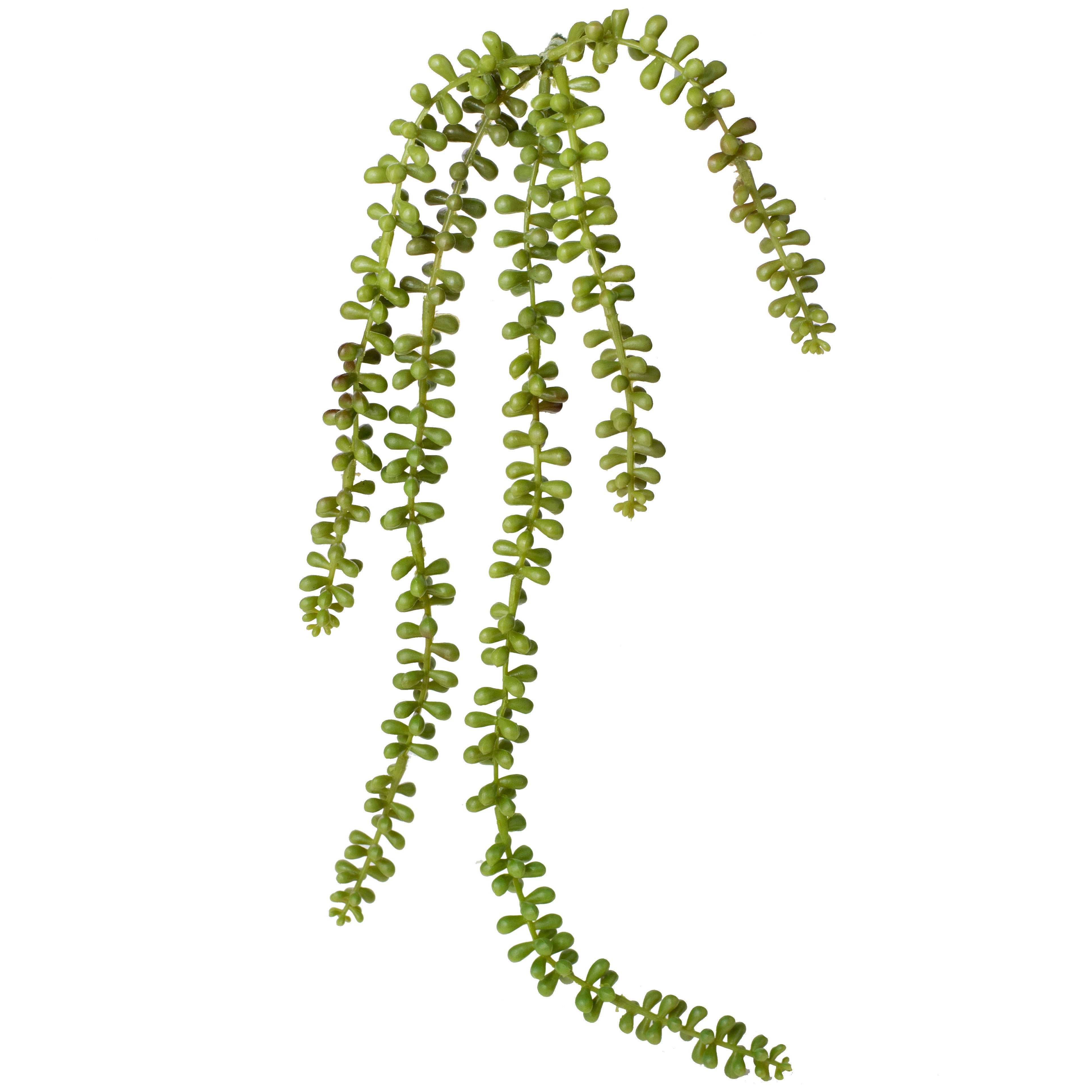 23" Succulent Sedum Spray: Green Item Number: 233431GR