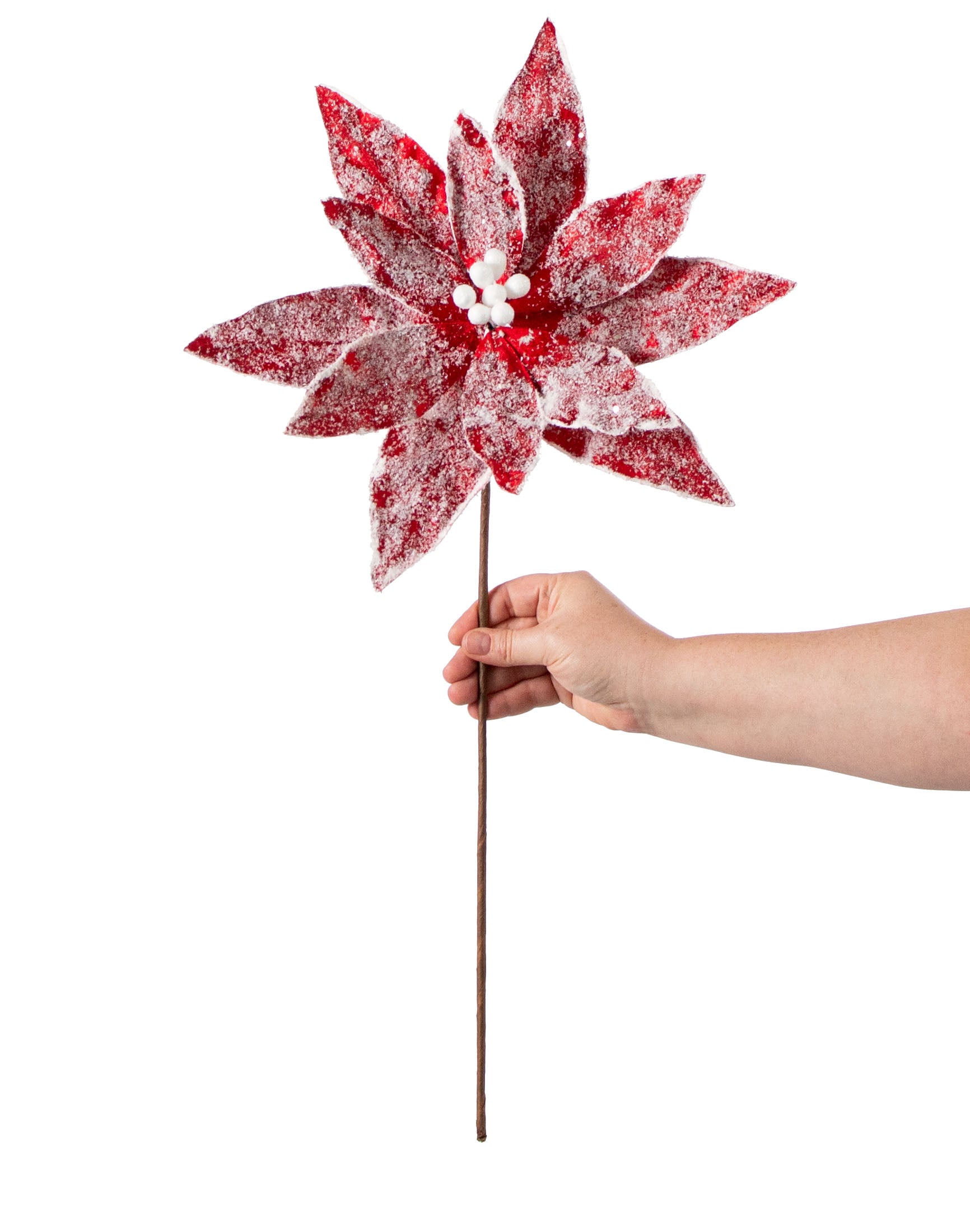 22" Sugar Poinsettia Spray: Red detail photo 3