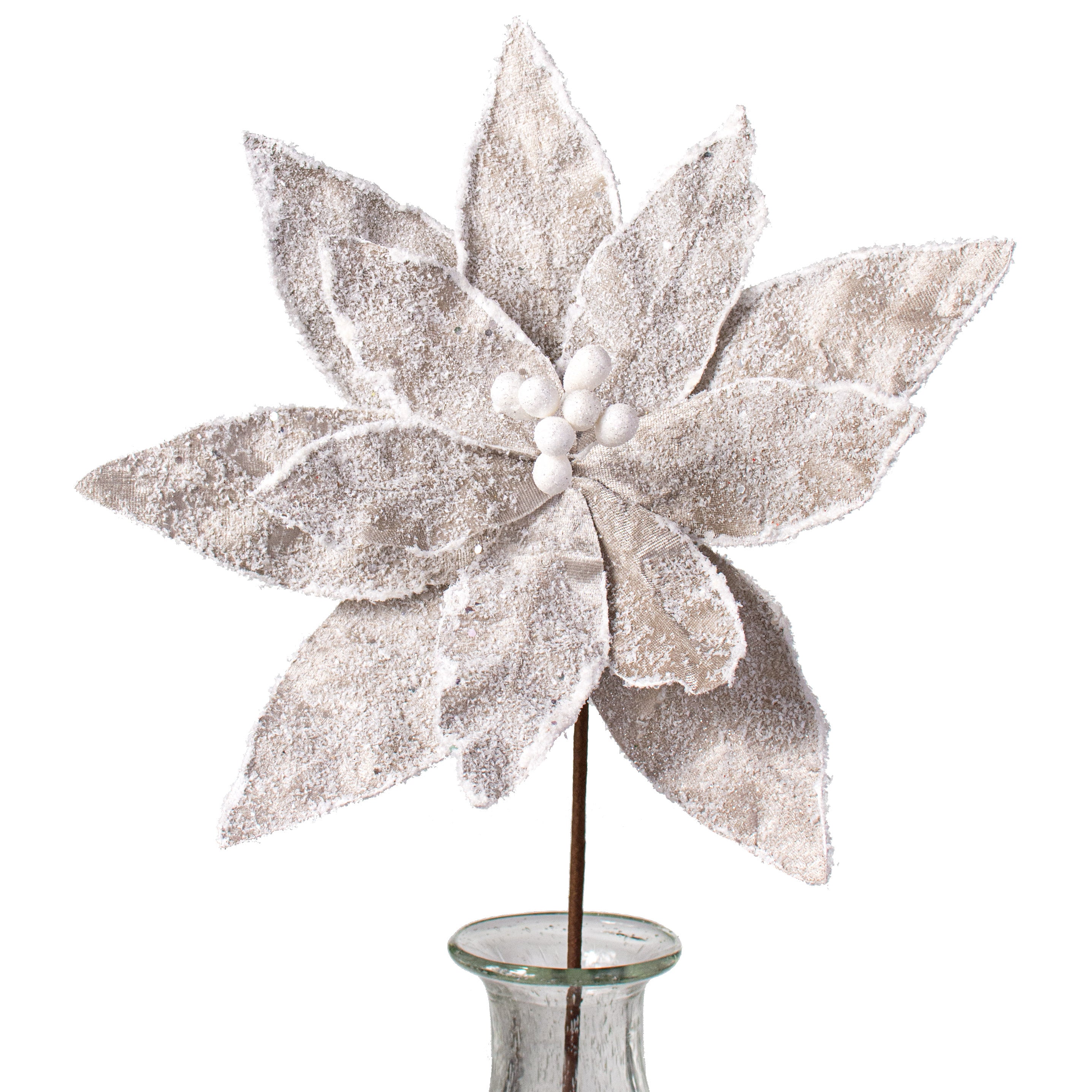 22" Sugar Poinsettia Spray: Taupe Item Number: 104041