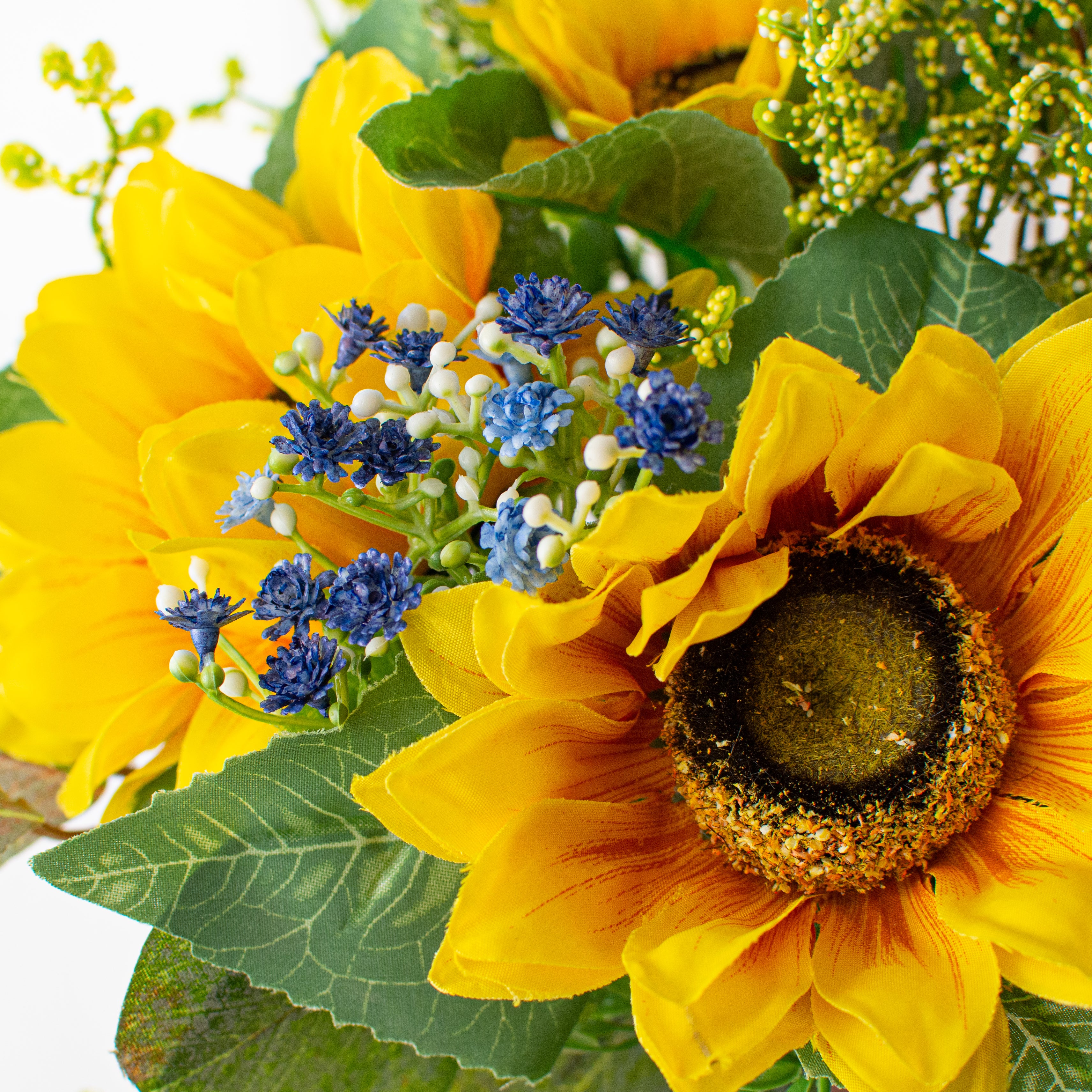 12\, image size:3424x3424