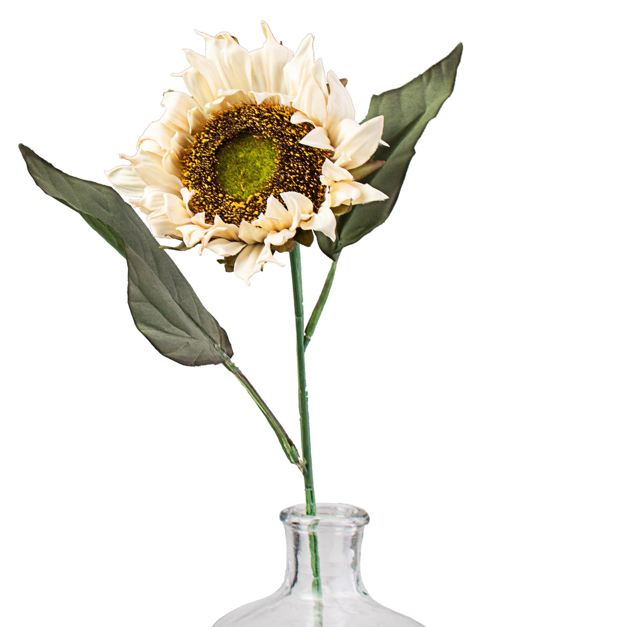23" Sunflower Stem: Cream Item Number: 56837BE