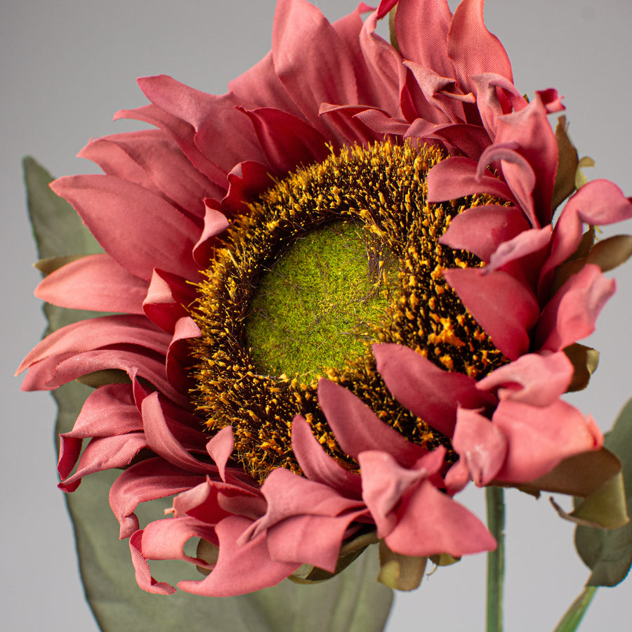 23" Sunflower Stem: Dusty Burgundy Lifestyle Photo