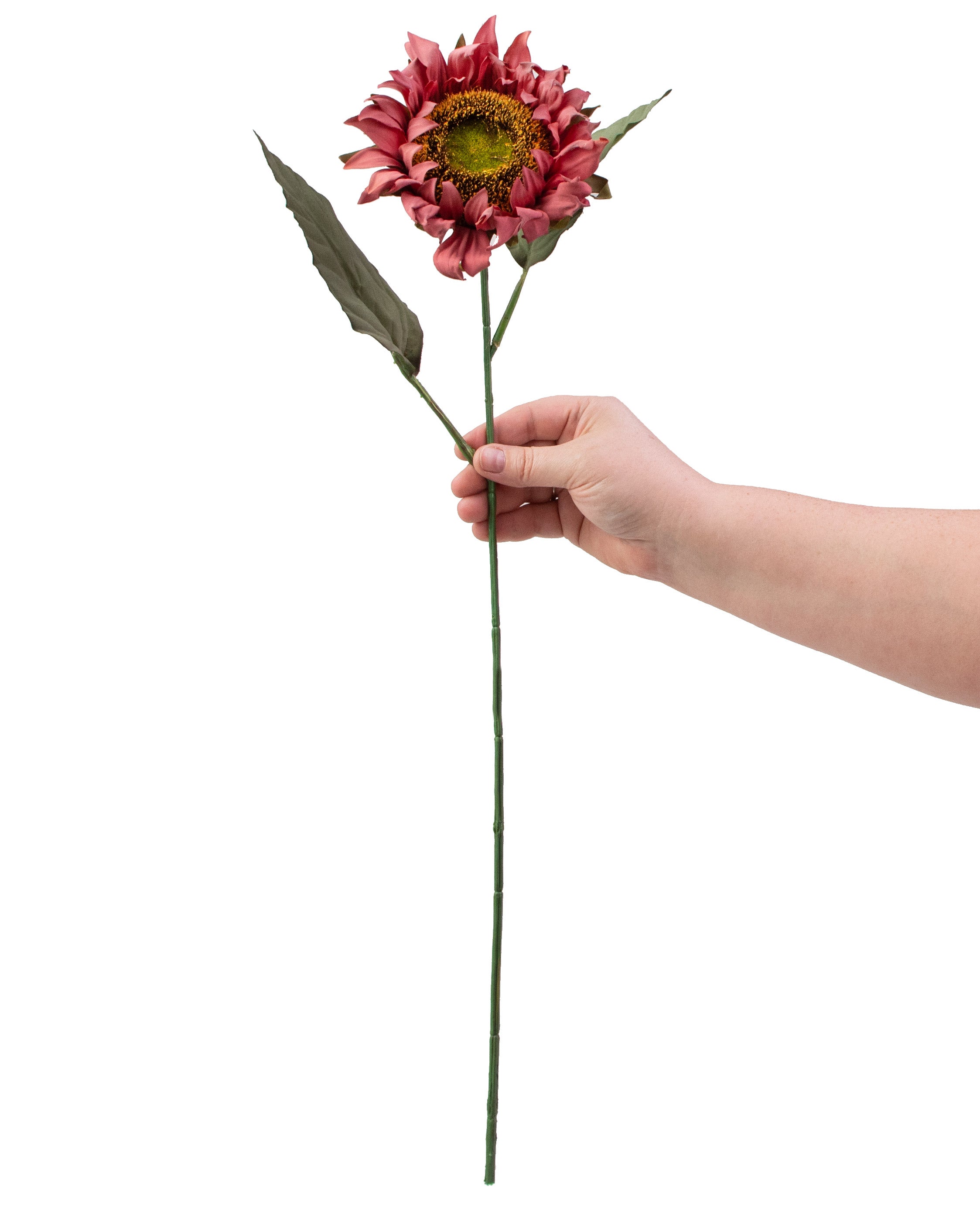 23" Sunflower Stem: Dusty Burgundy detail photo 3
