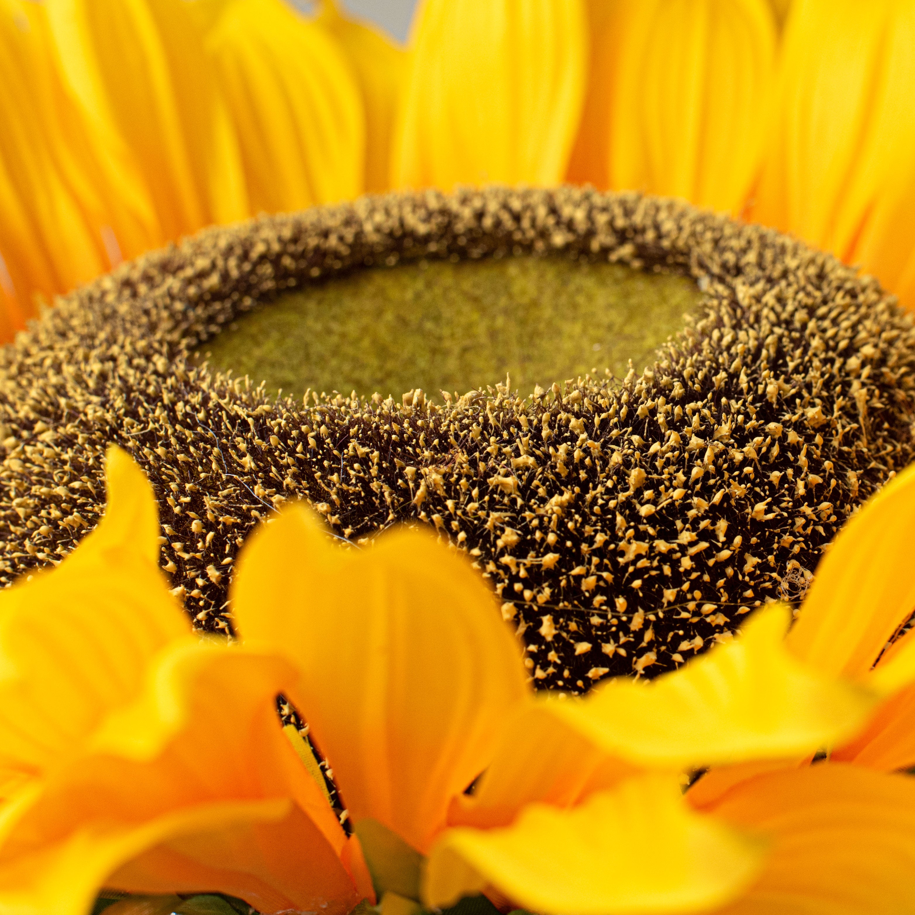 14" Sunflower Head detail photo 4