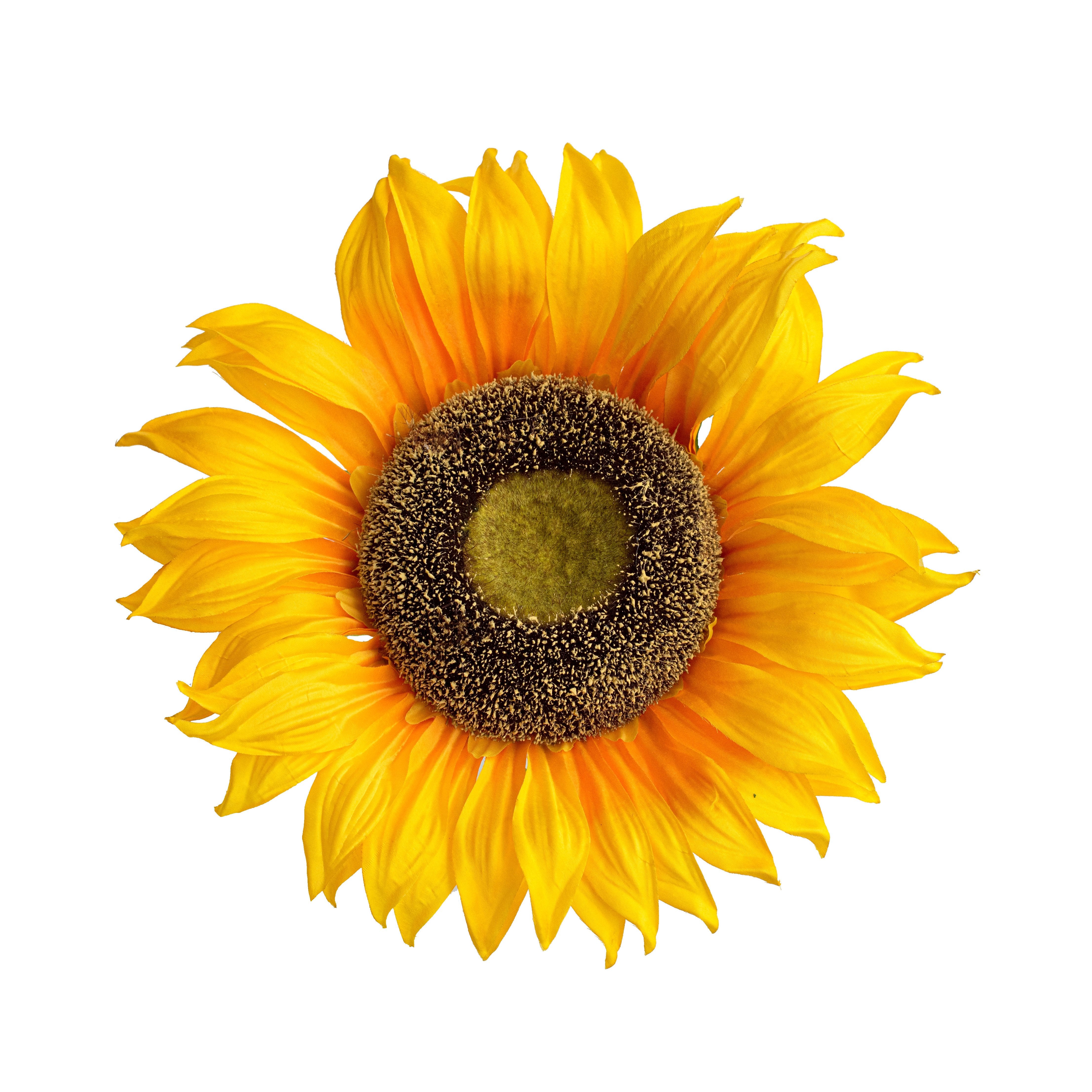 11" Sunflower Head Item Number: MG101