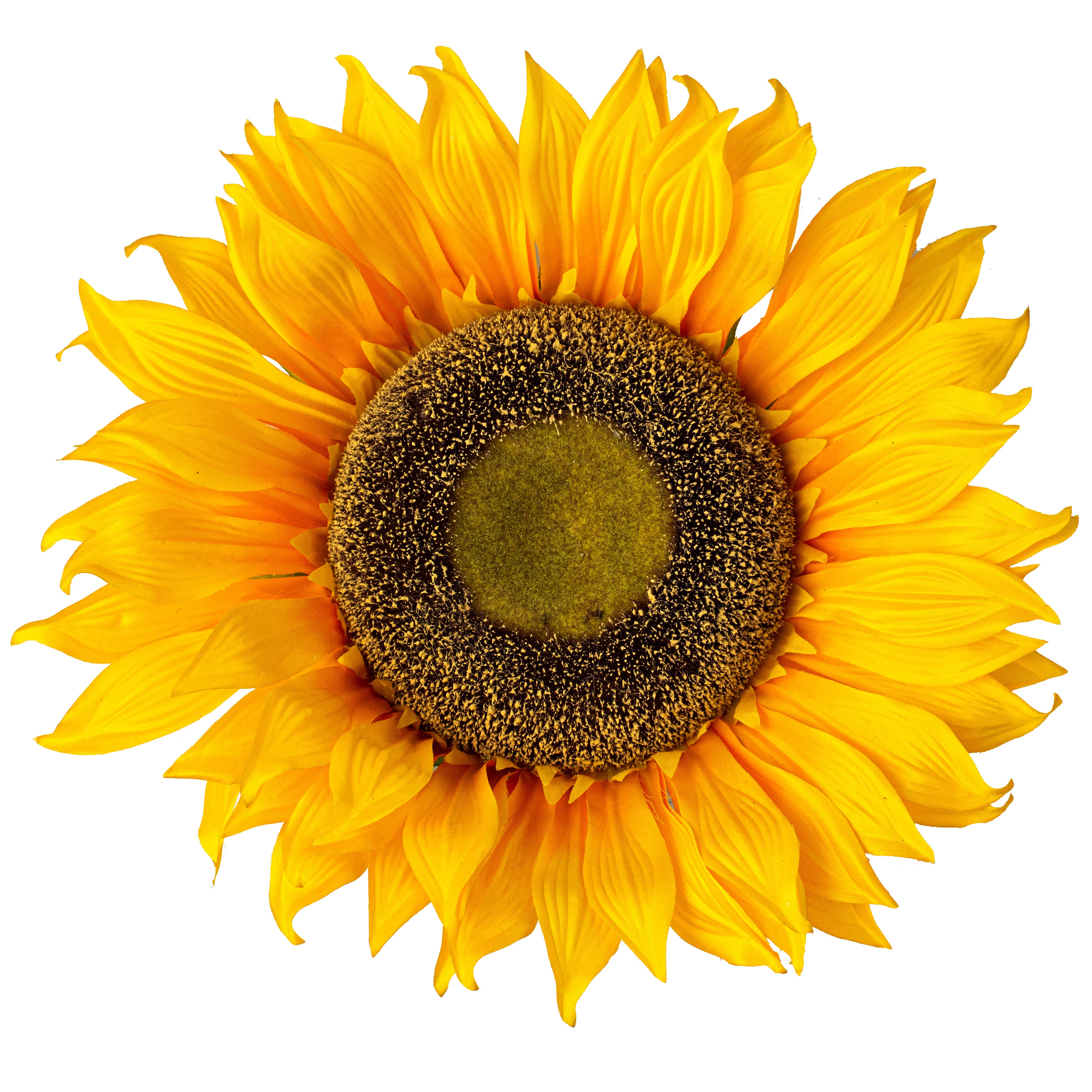14" Sunflower Head Item Number: MG104