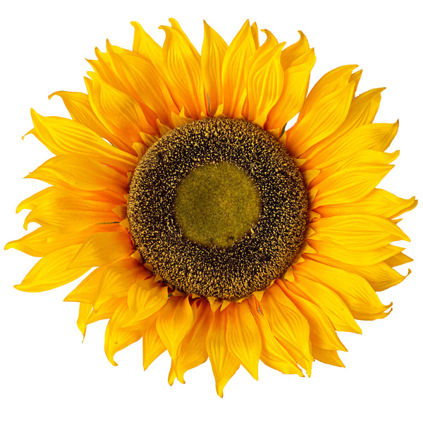 sunflower Sfcb92a4db1d54fae9a6365be6d3f1