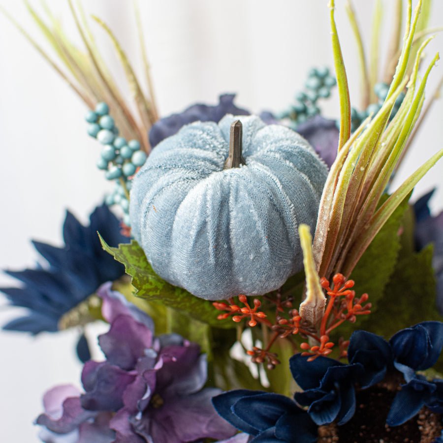 16" Sunflower Hydrangea Pumpkin Bush: Blue Lifestyle Photo
