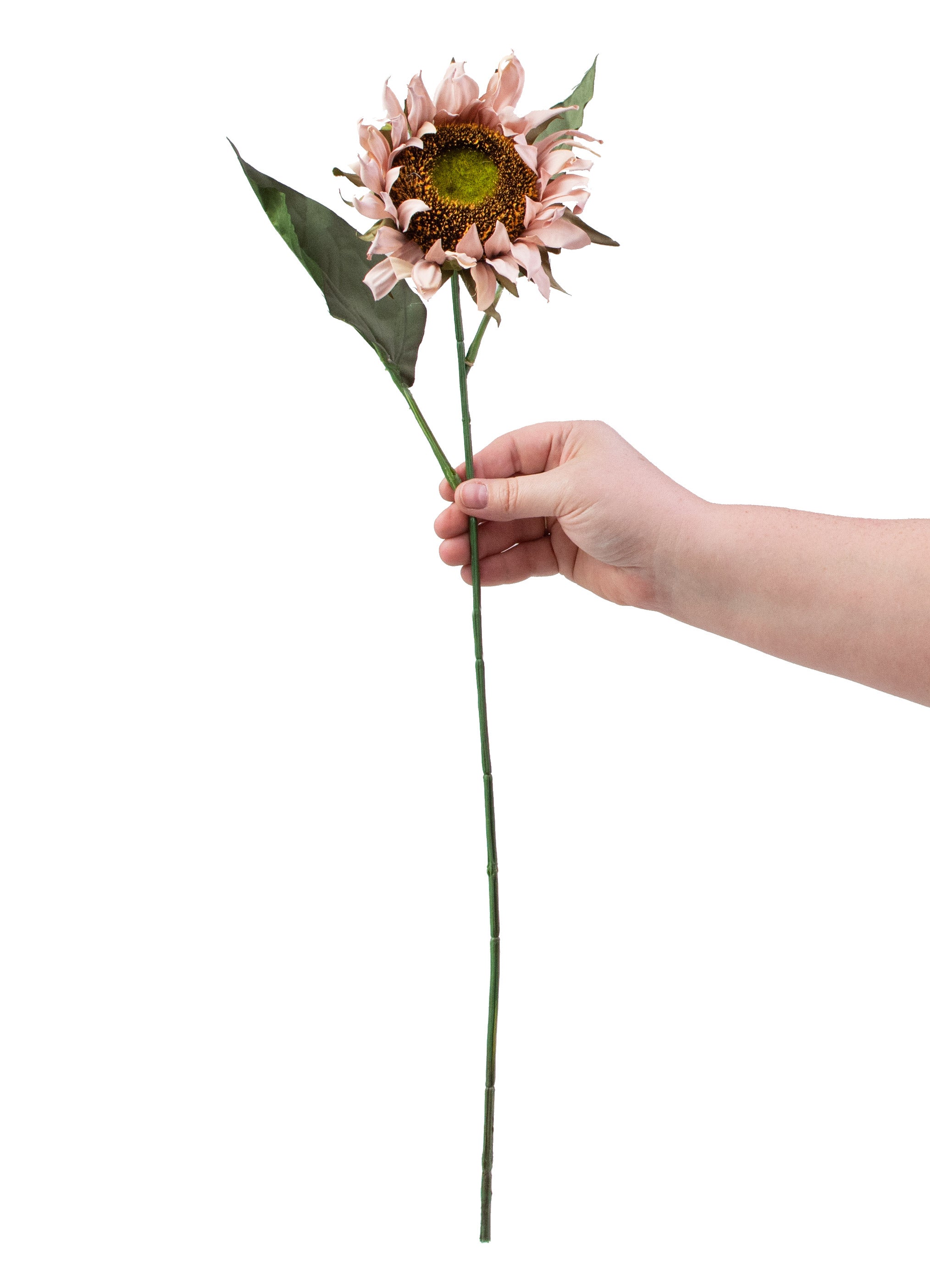 23" Sunflower Stem: Mauve detail photo 3