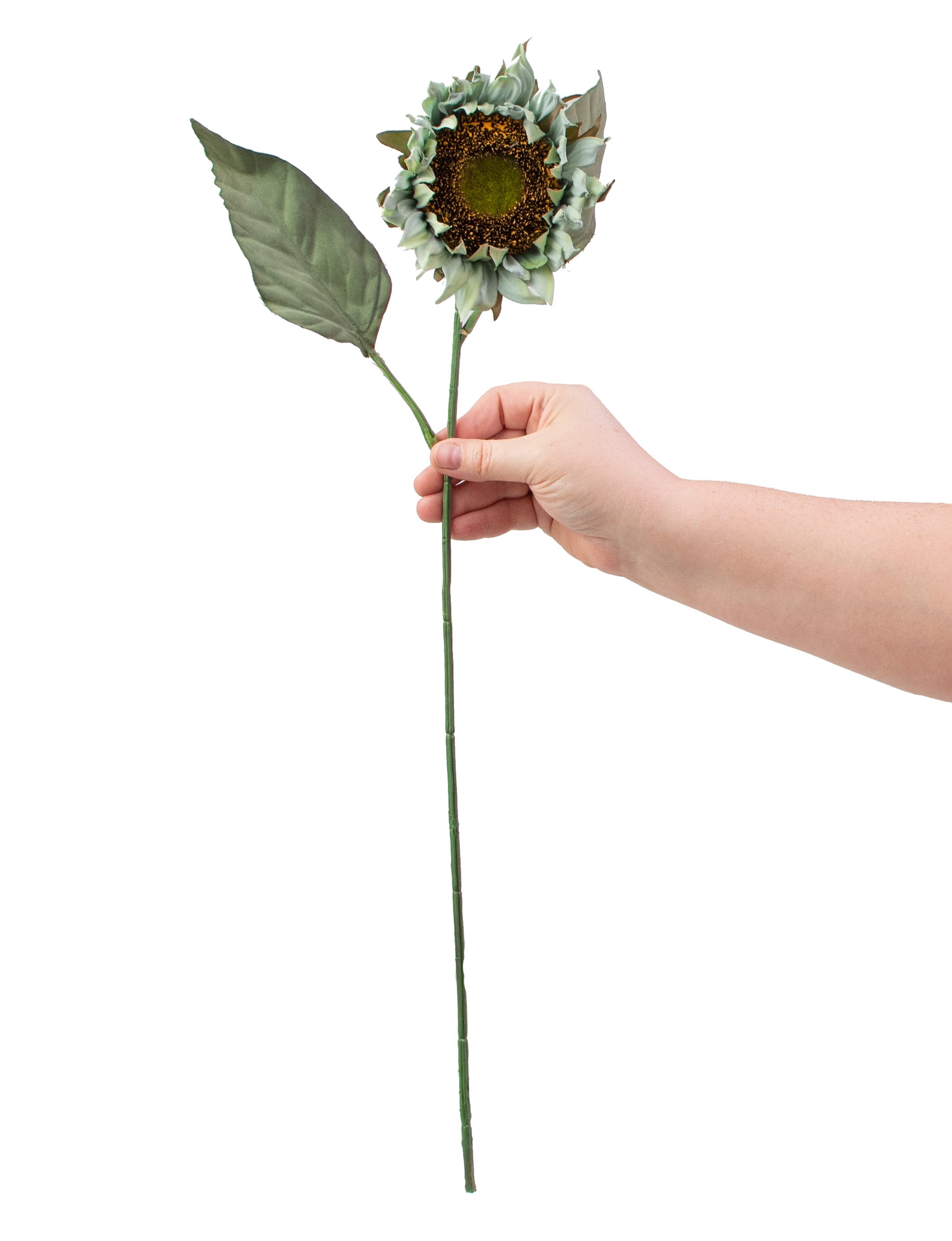 23" Sunflower Stem: Mint detail photo 3