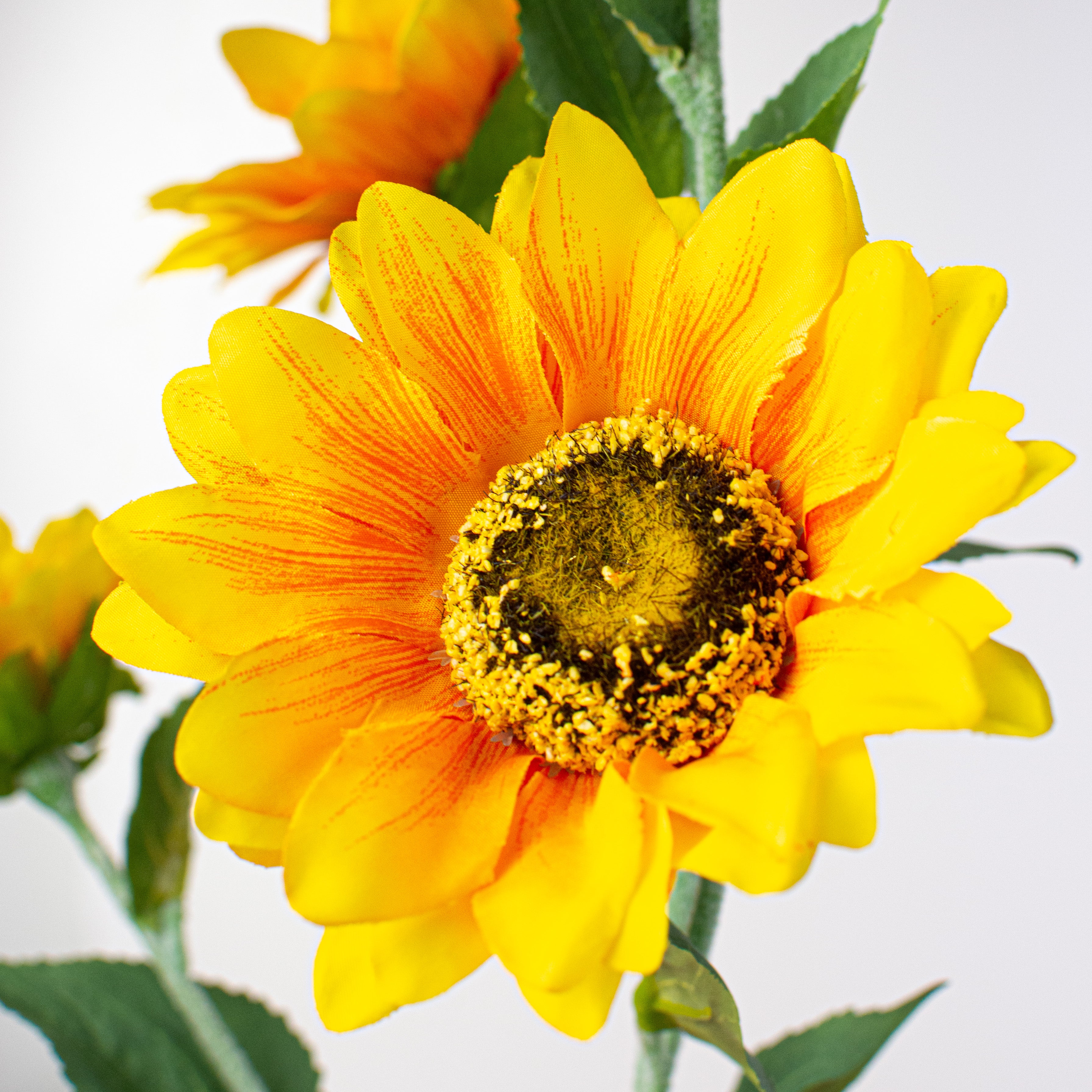 25.5" Sunflower Spray Lifestyle Photo