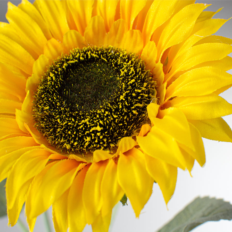 28" Double Sunflower Stem: Yellow Lifestyle Photo